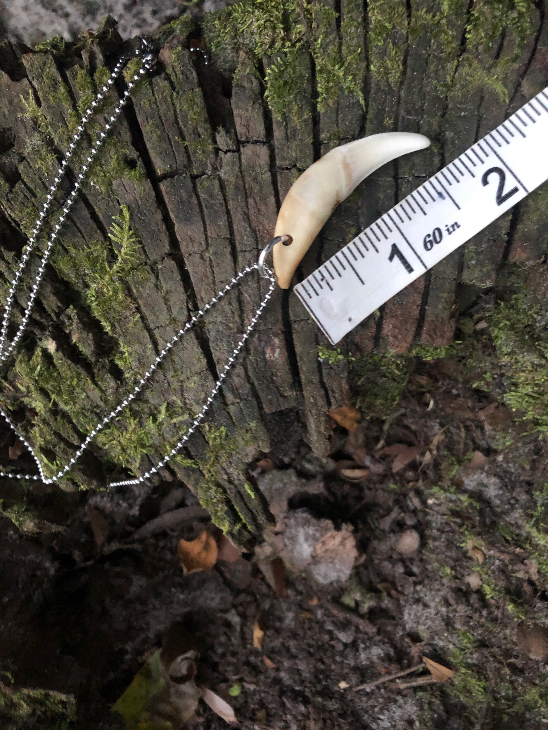 A2849ABF-DF87-44BD-AF56-F78D0B9971F7