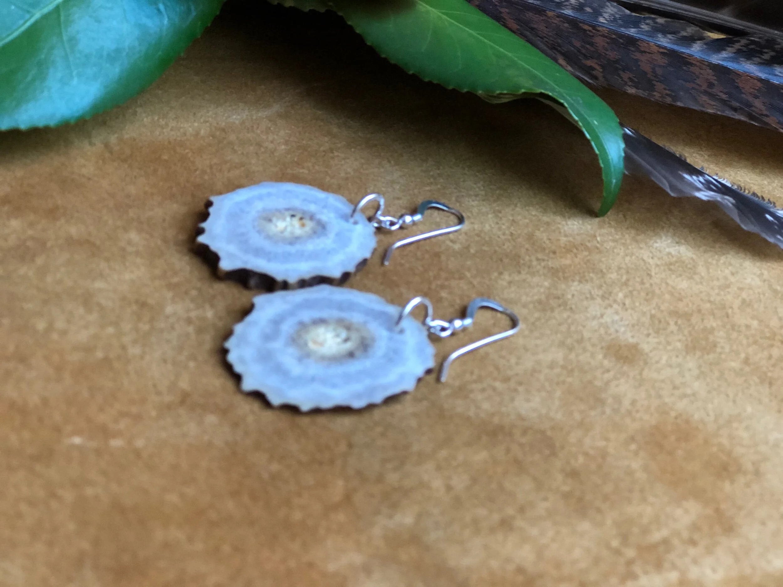 5C945CD4-0FB1-4453-B706-A6394FBFFD12