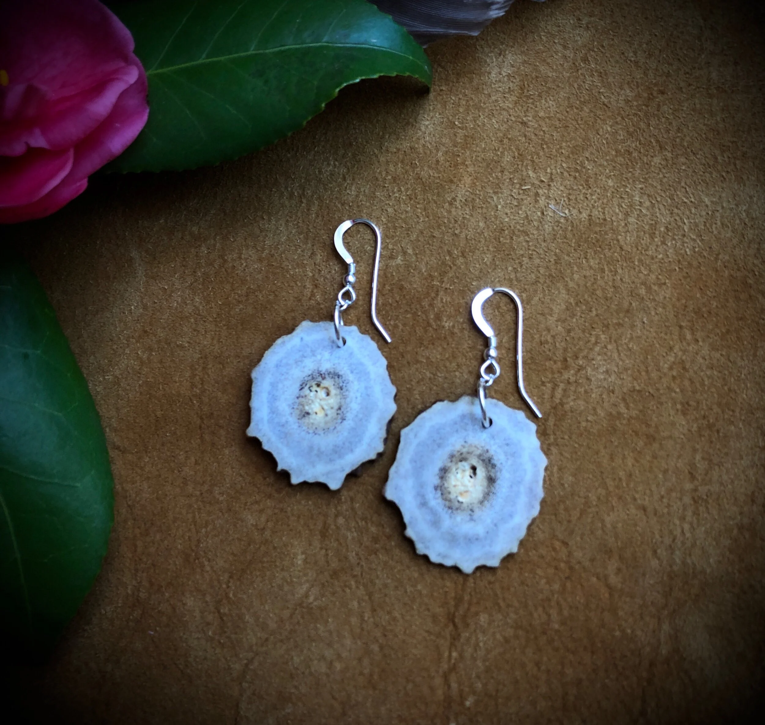 B9105108-3859-4043-822A-6633BABC2452