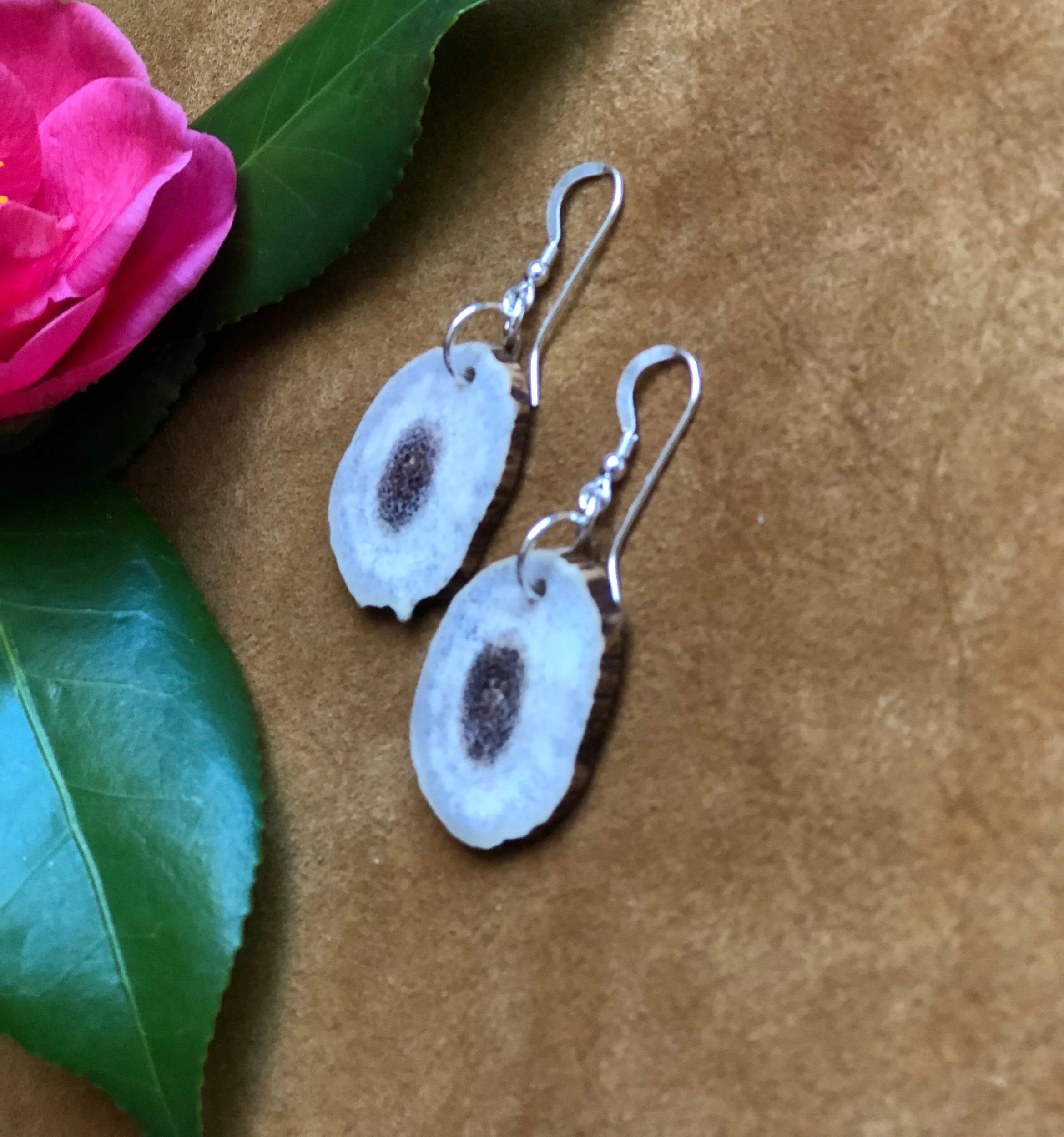 47ED940C-F906-42A7-BB4F-2617BC8D7F37