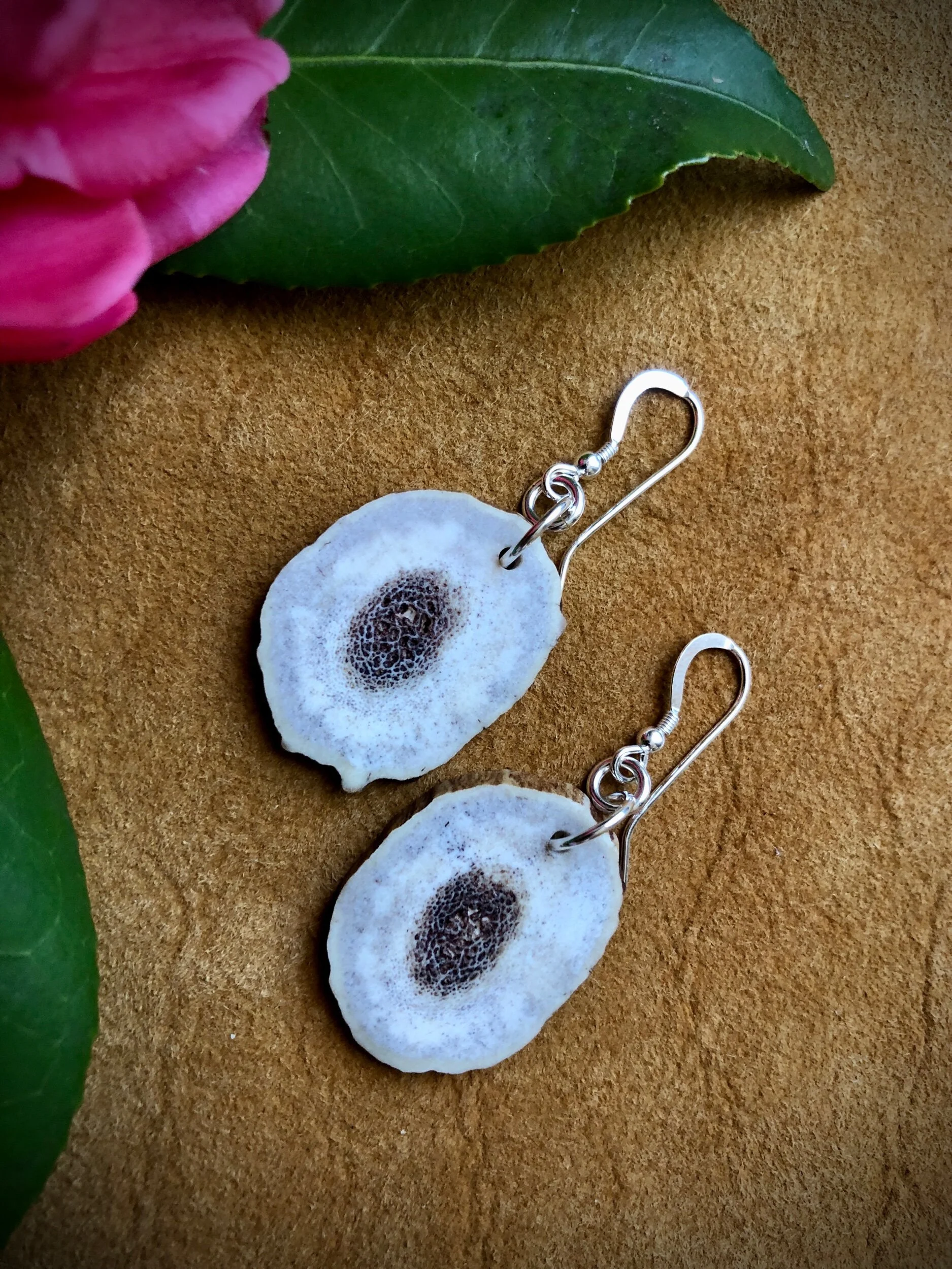 8D8F8A3B-1F5A-4549-8D1B-85A64289B03E