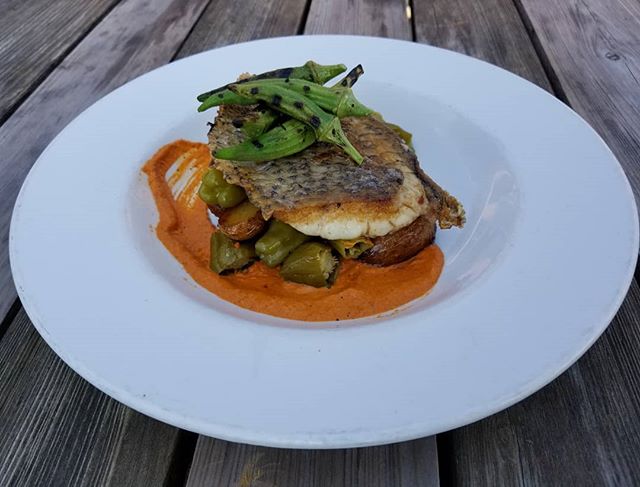 #freshfishfriday reels in  Pan seared North Carolina Black Drum with Appalachian gold potatoes, pickled shishito peppers, romesco, and grilled okra.

#theeddypub #localfood #farmtotable #lovefood #cleaneats #eatlocal #realfood #organic #sustainable #