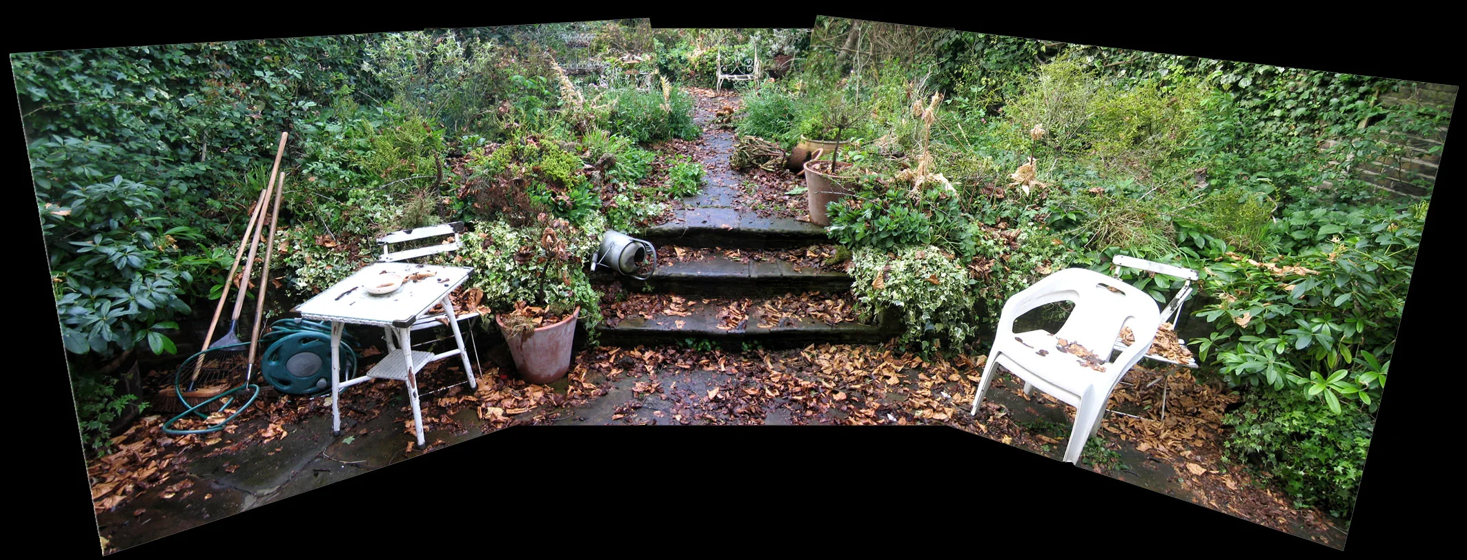 Tessa's abandoned London garden