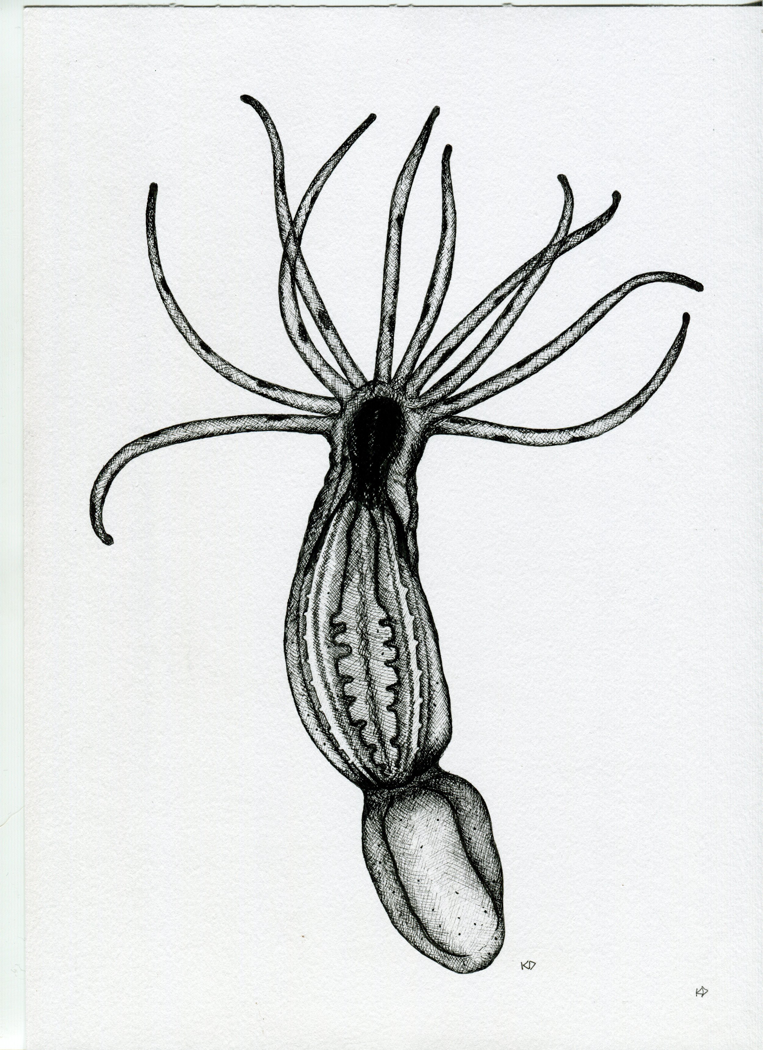 img017.jpg