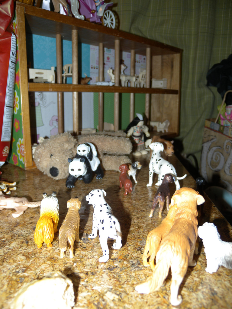 20121225-dscn0685.jpg