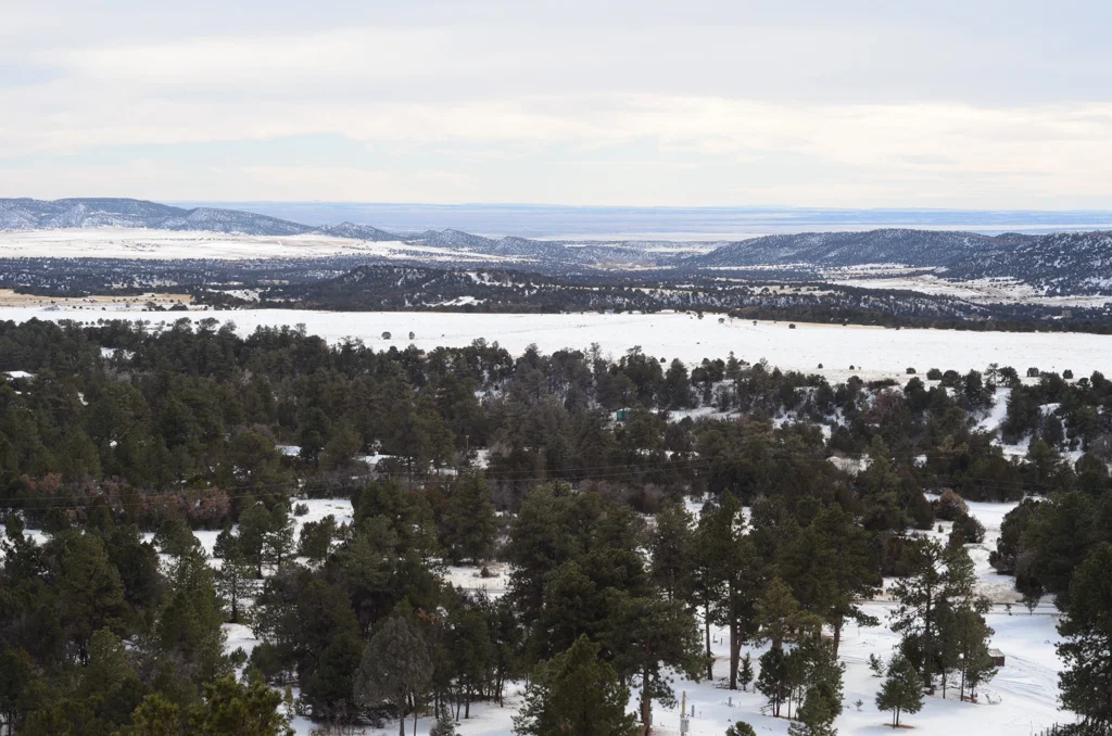 20121221-dsc_7597.jpg