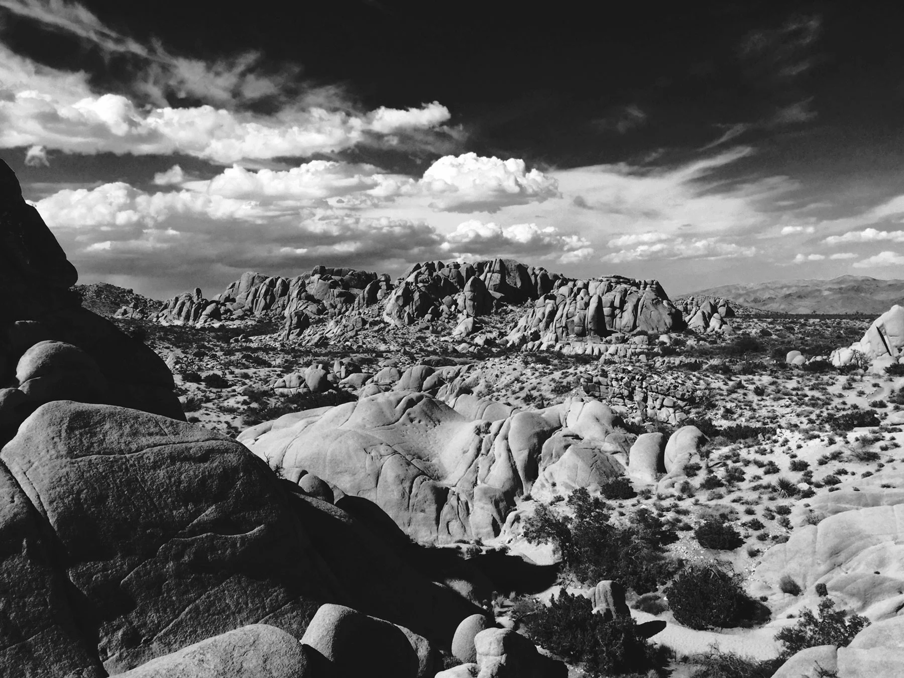 Joshua Tree National Park