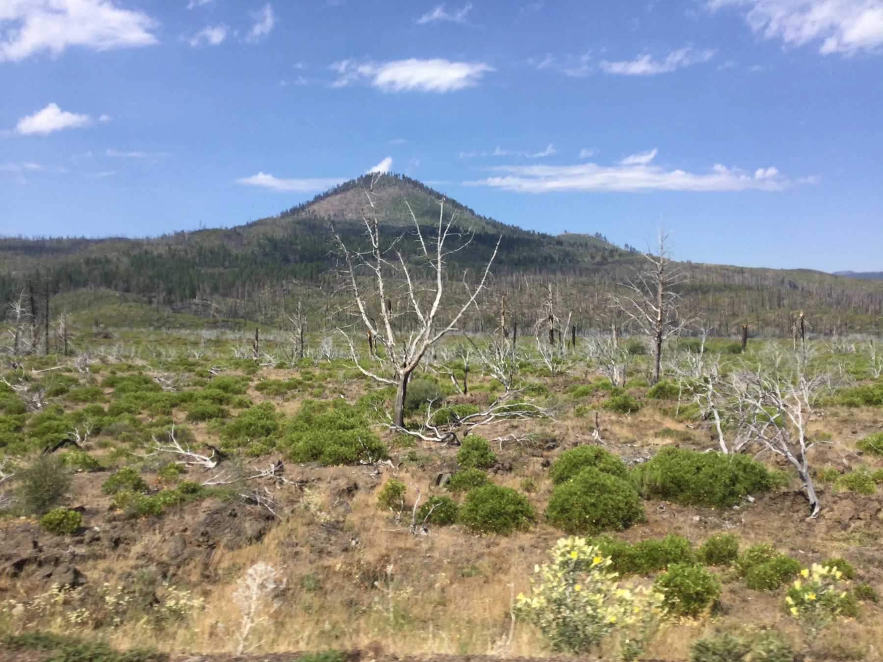 ecowomb-blog-lassen-volcanic-9.jpg