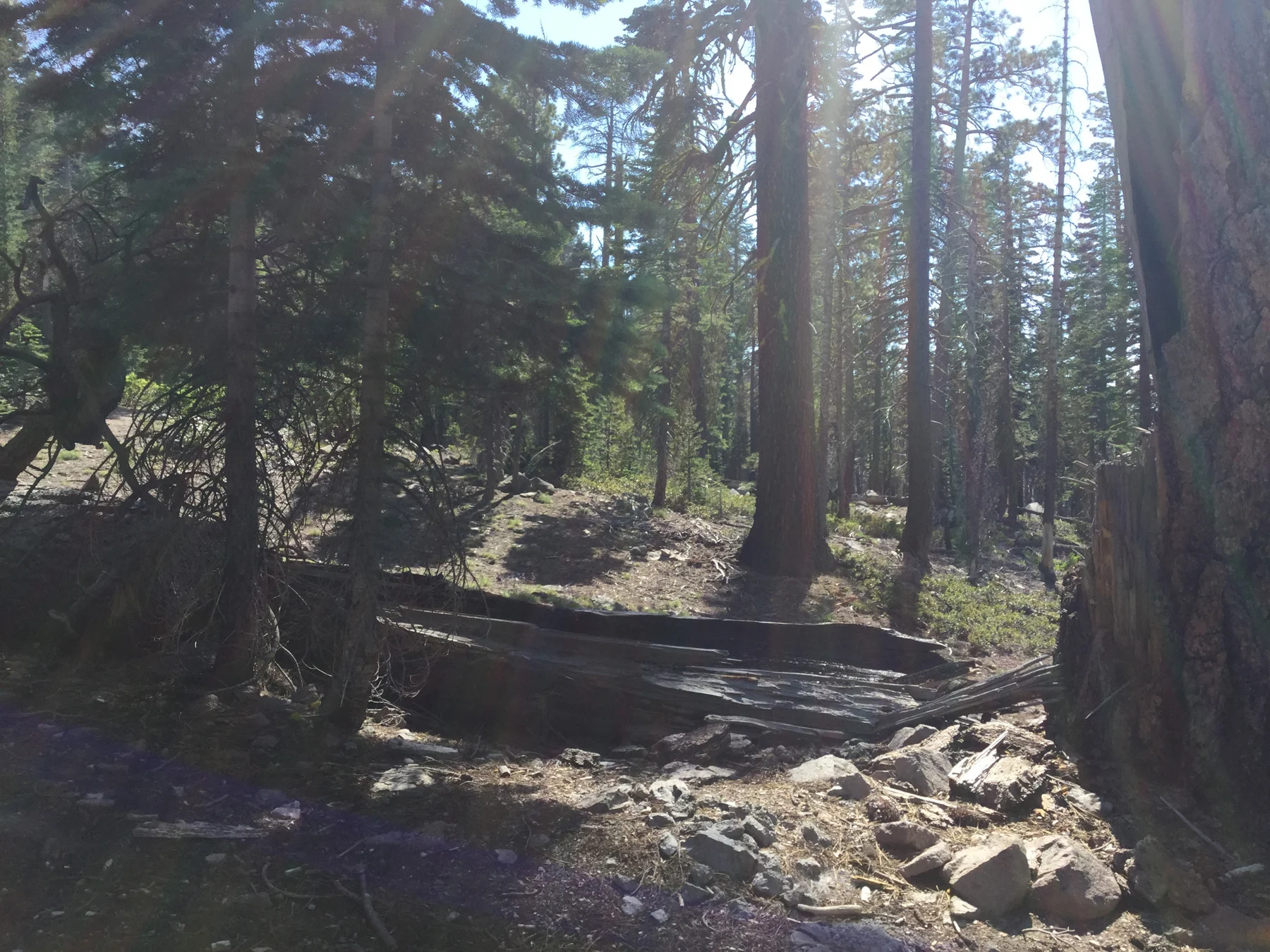ecowomb-blog-lassen-volcanic-12.jpg