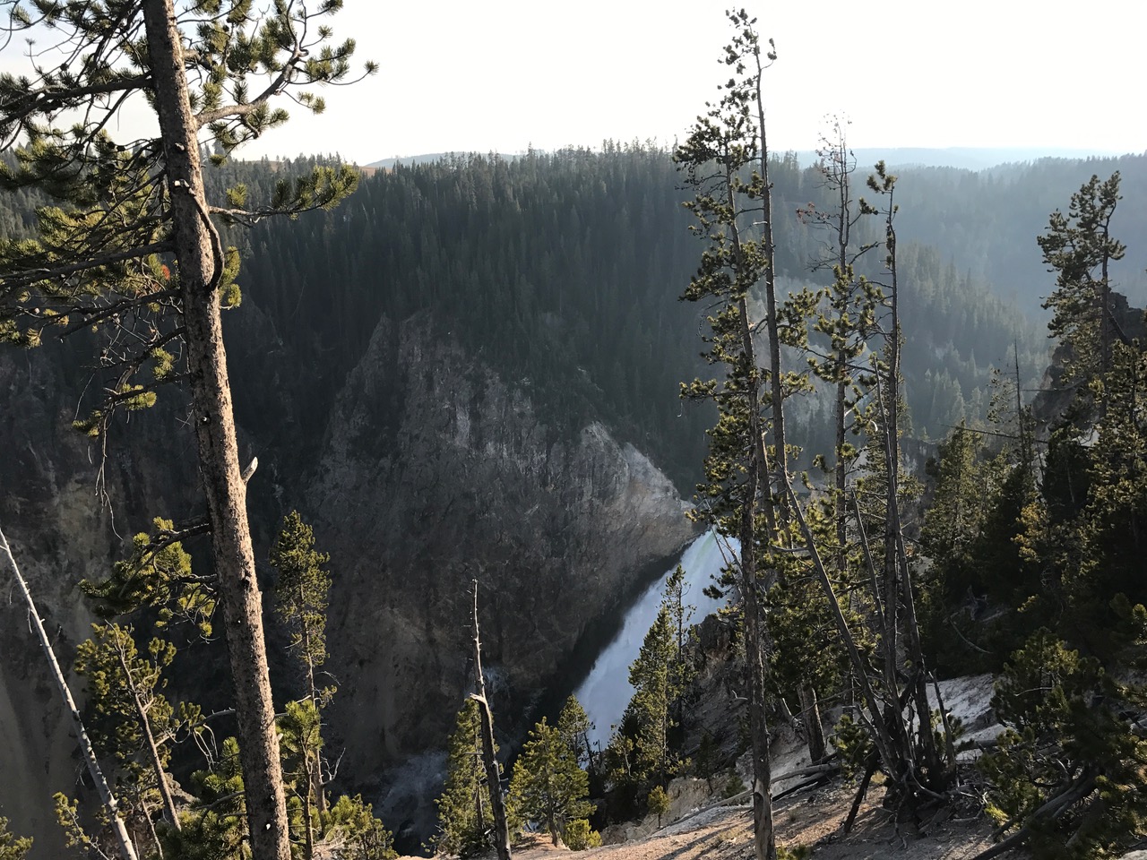 Yellowstone Falls cascading 108 feet into the depths of Yellowstone Canyon