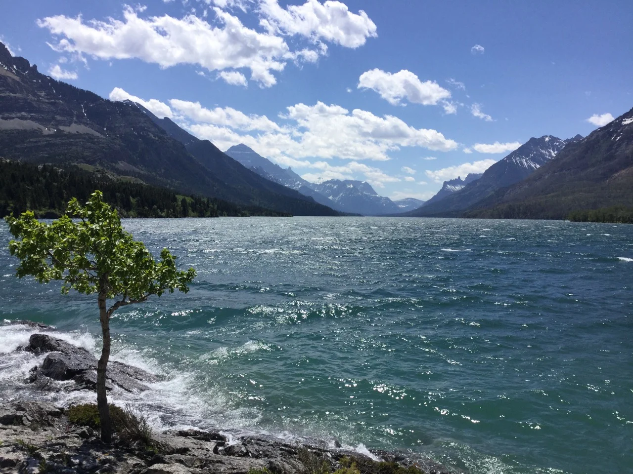 Upper Waterton Lake on a clear but windy day.