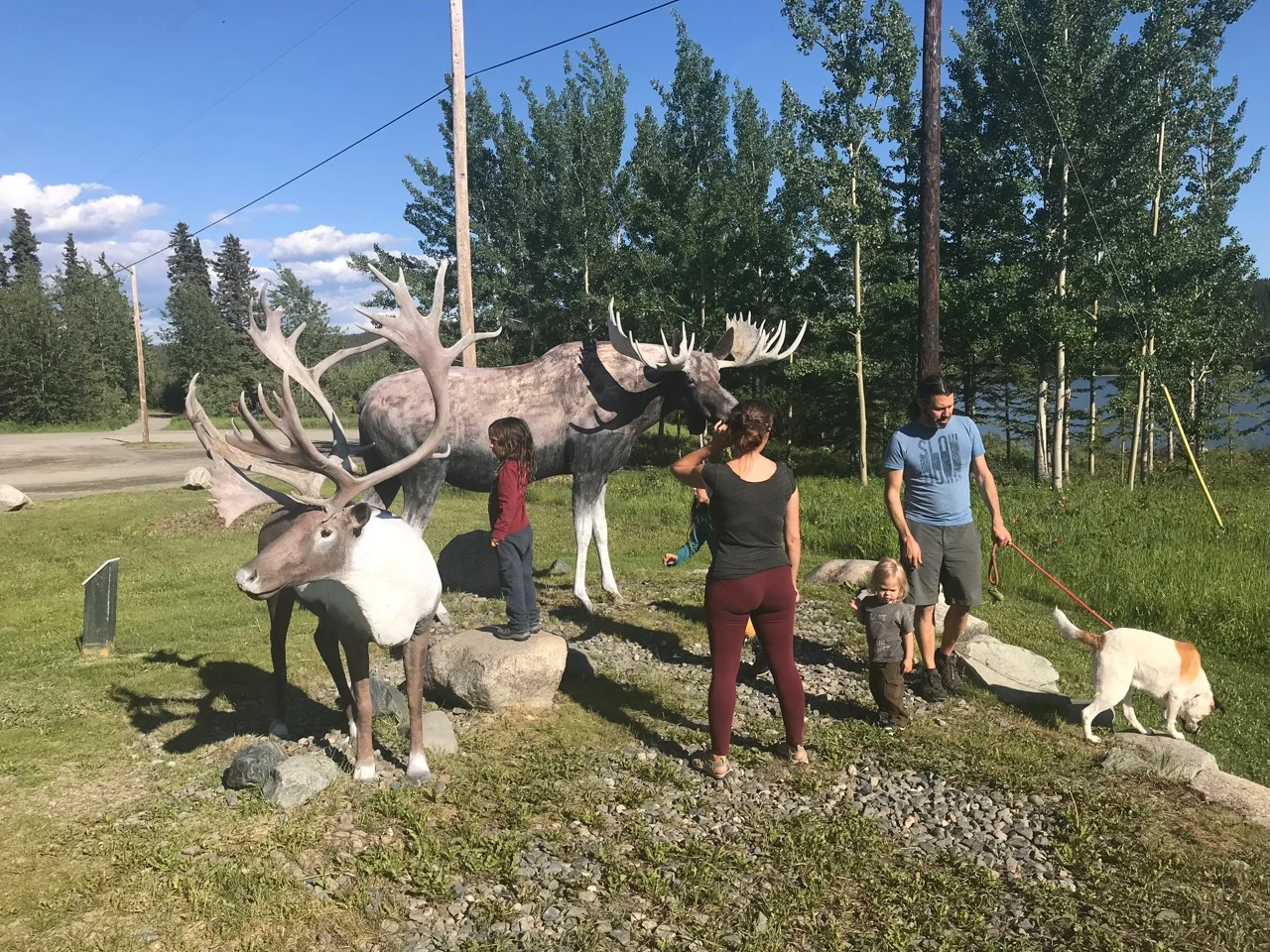 Even the fake moose are bigger than us!