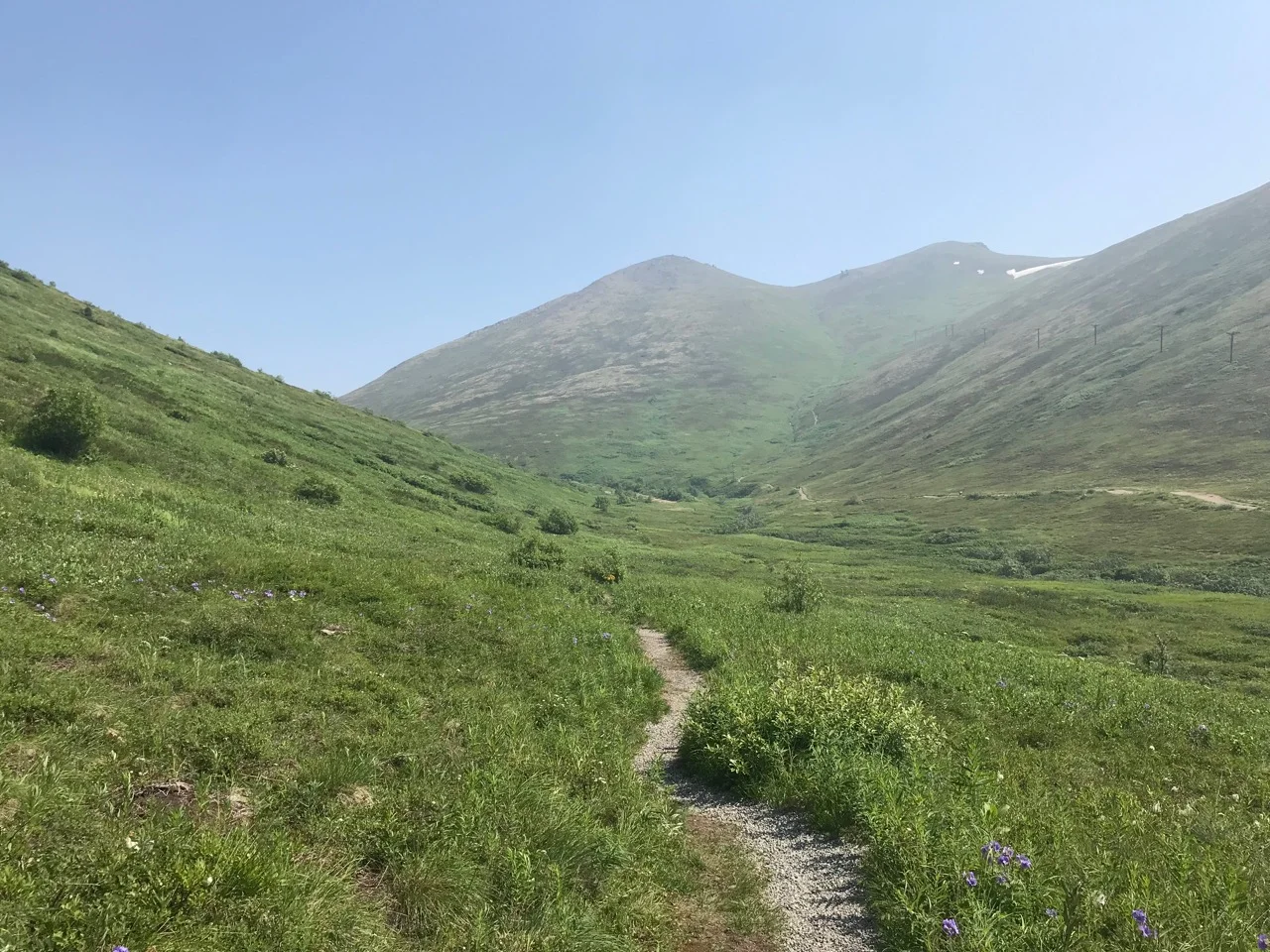 Alpine meadows are the best place to hike!