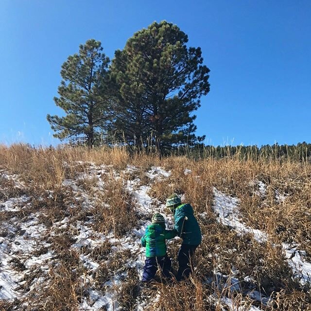 The simple thrill of blue skies, abundant sunshine, a dusting of snow on a grass covered hill, tumbling down in a sibling heap of laughter, and a surprise visit from a friendly deer, this was the best day ever 💙☀️❄️🌳☺️ Colorado, November 2019 #thro