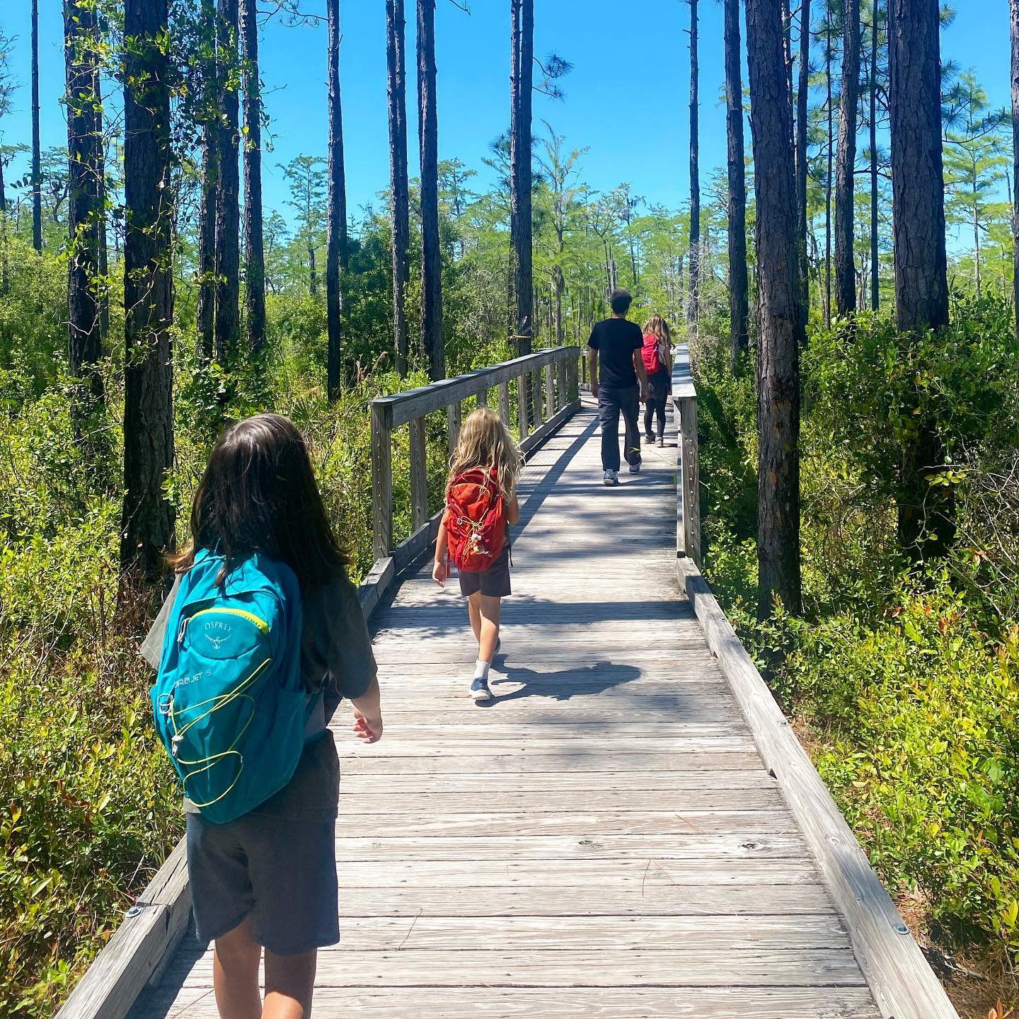 Earth Day family hike 🌎 through the tall pines and Florida wetlands. It was a beautiful day, not a cloud in the sky. Just missing our Jack 😘