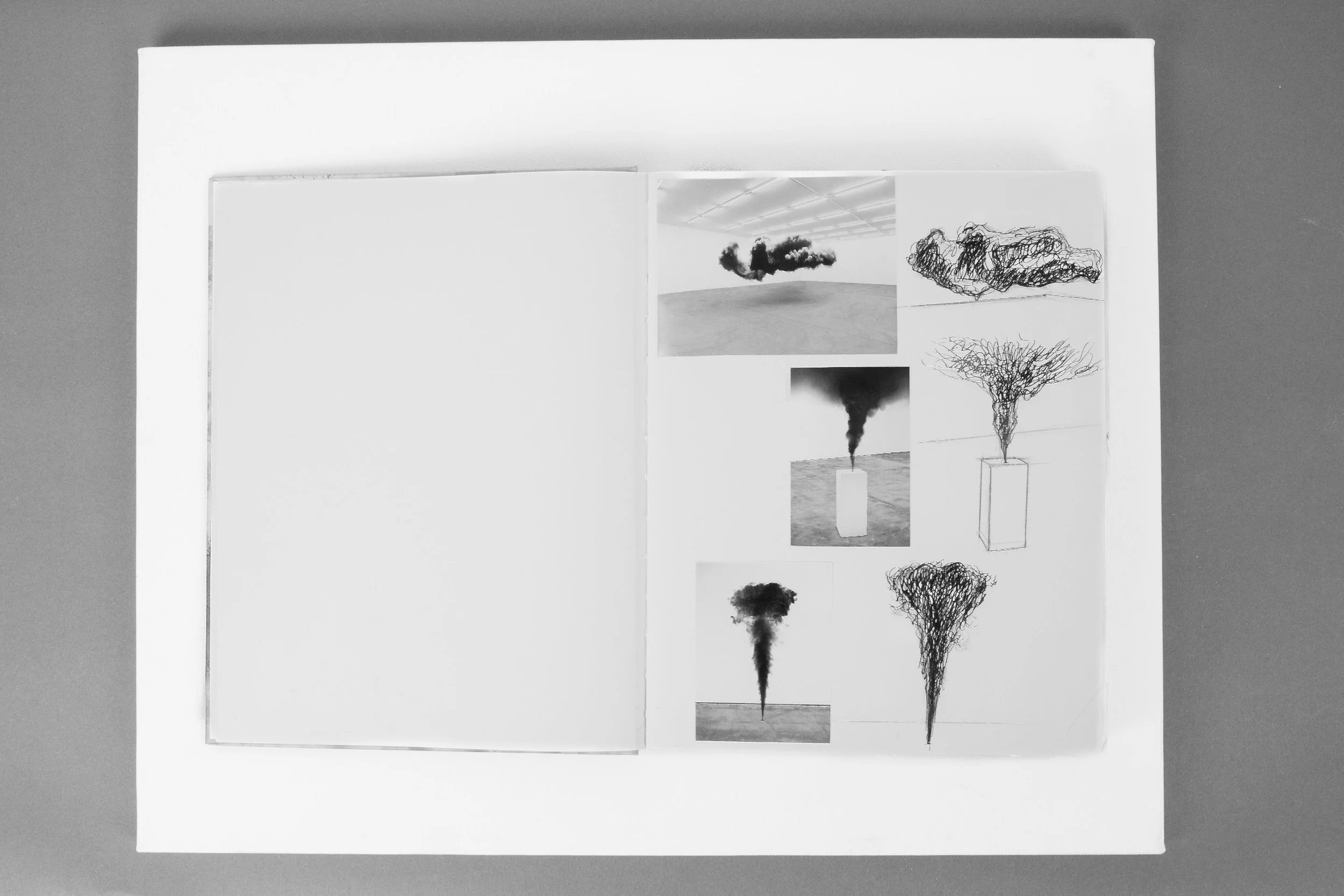  redraws of Bürgy's work 