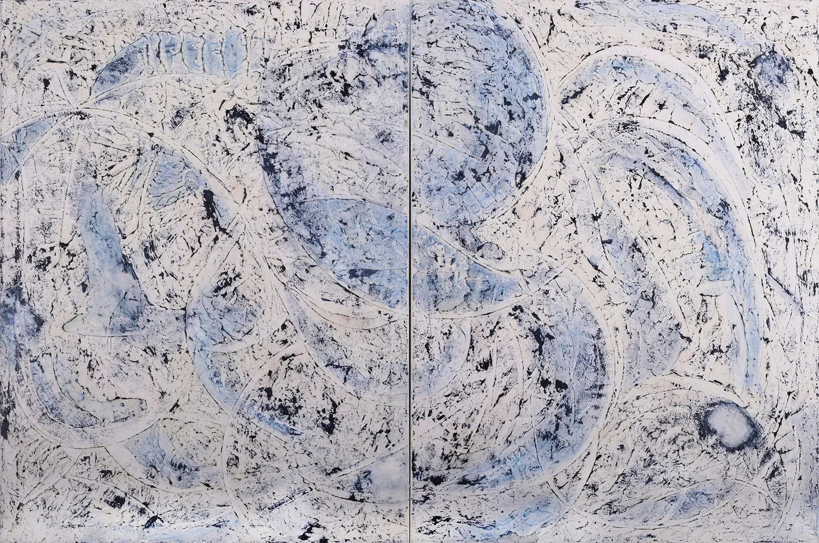 Octopus, 2017