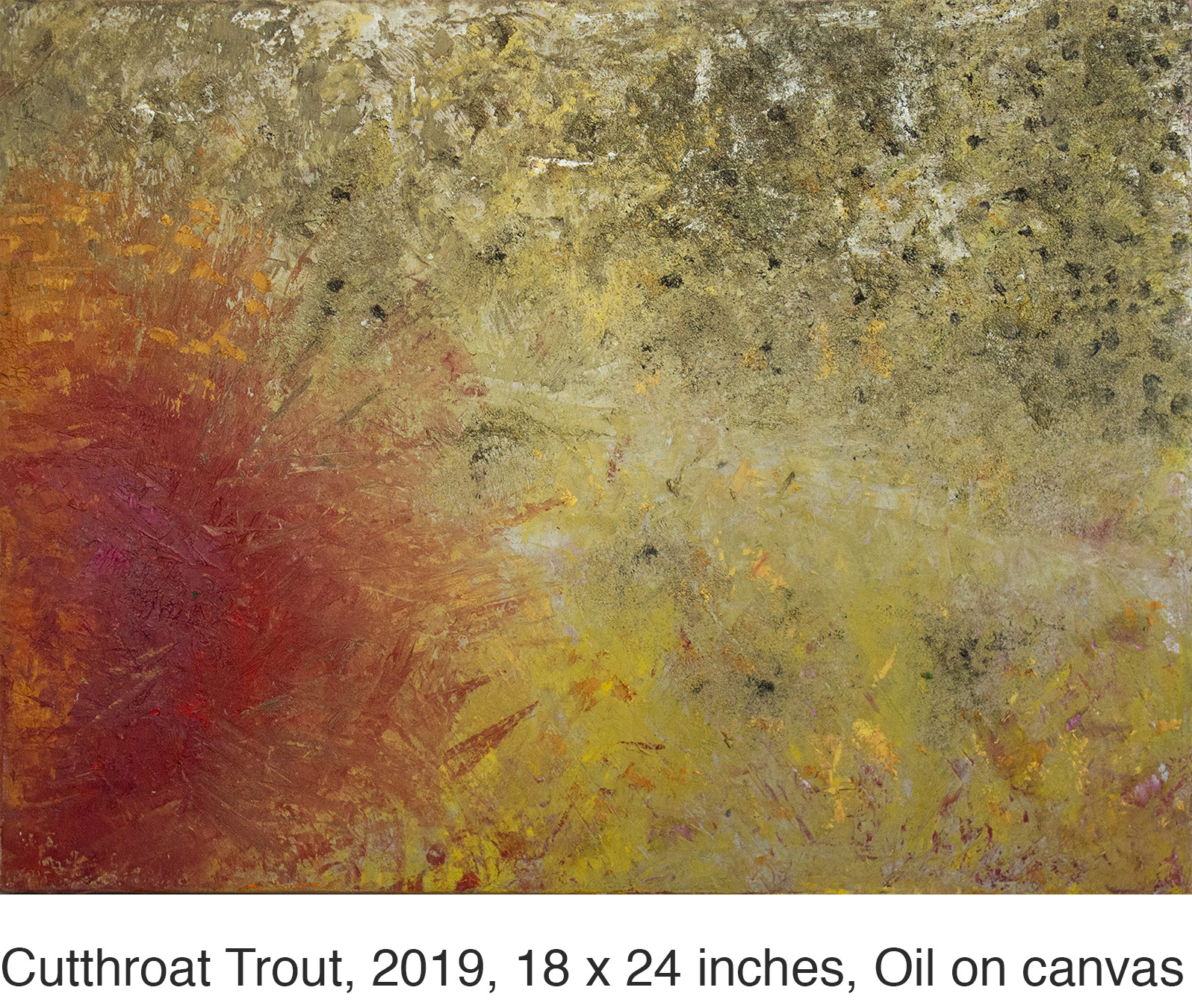 18x24_R_CutthroatTrout_2019_Krutick_Oil web caption.jpg