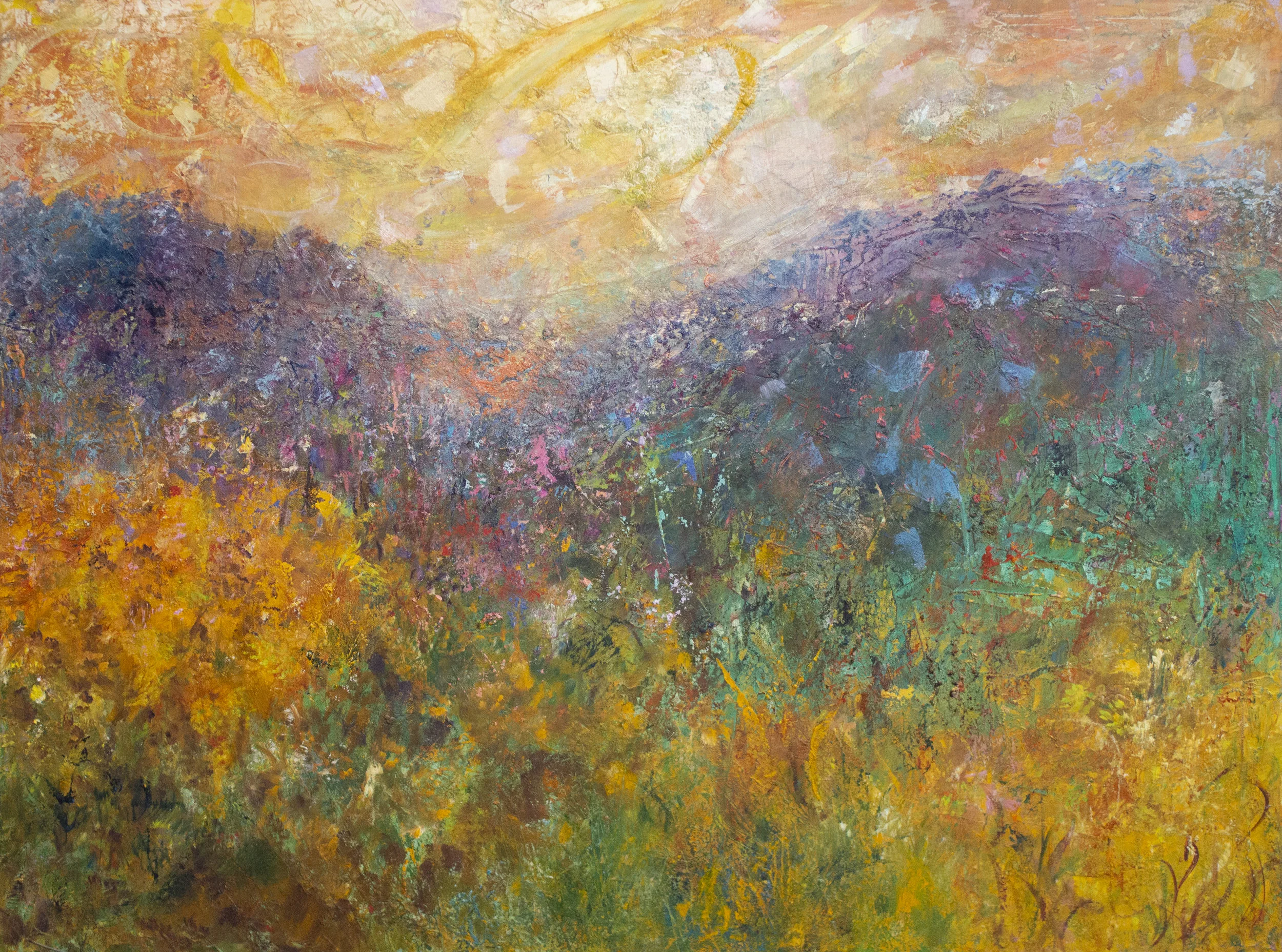 Montana Hills 1, 2019