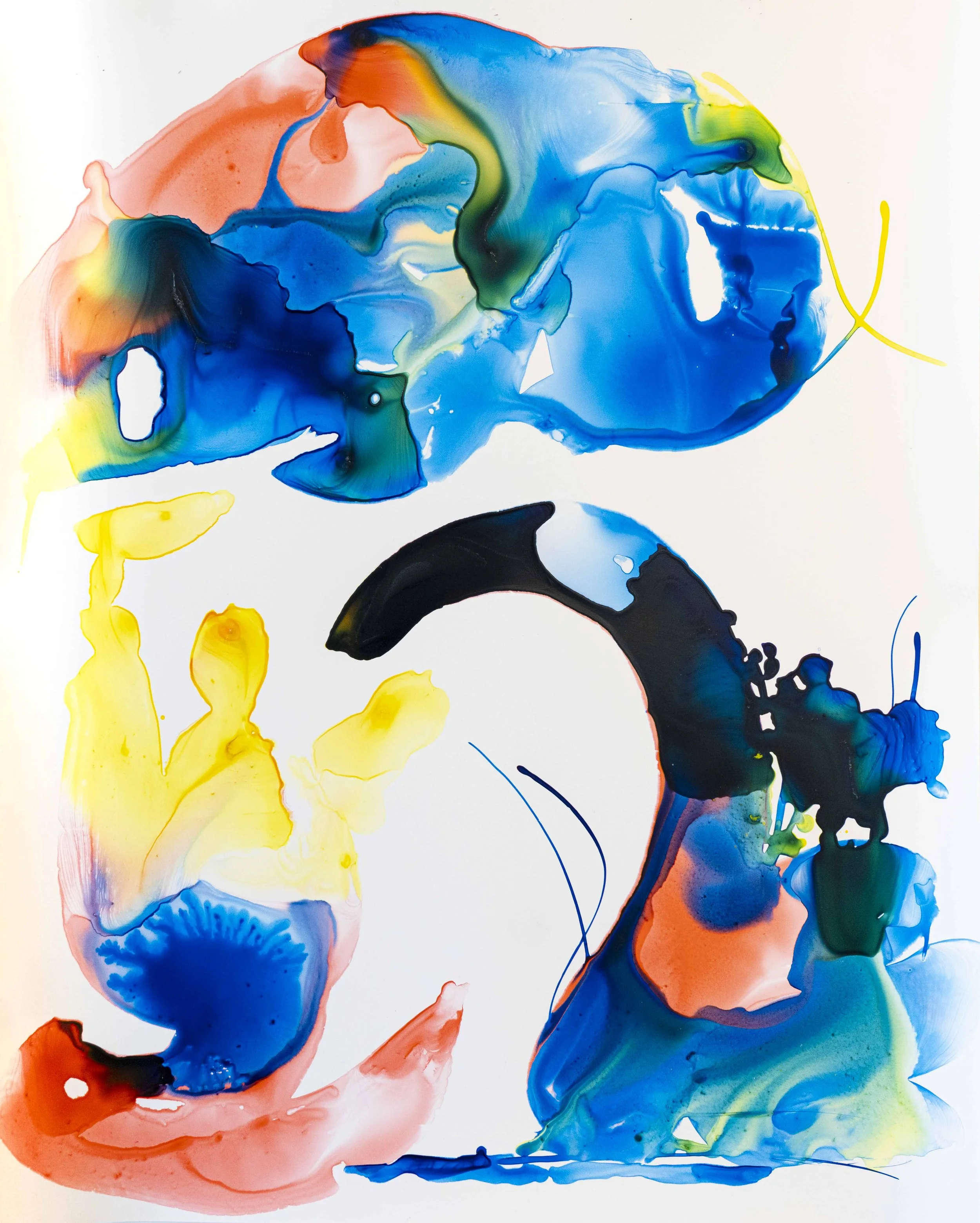 20x16_W_AnimorphPrehistoricRomp_2025_InkYupo web.jpg