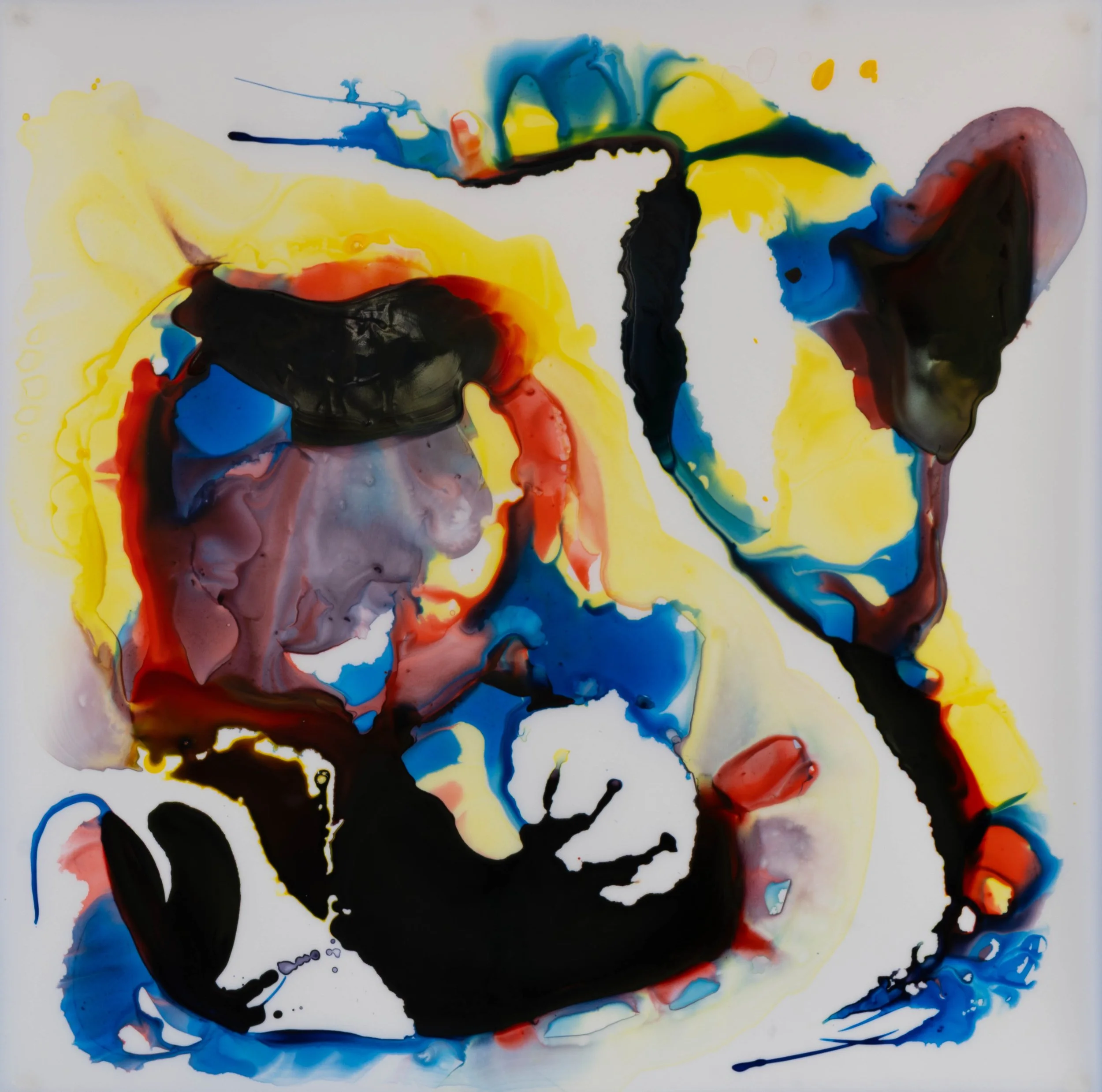 18x18_W_Amorphous_2025_Krutick_InkOnYupo web_900.jpg