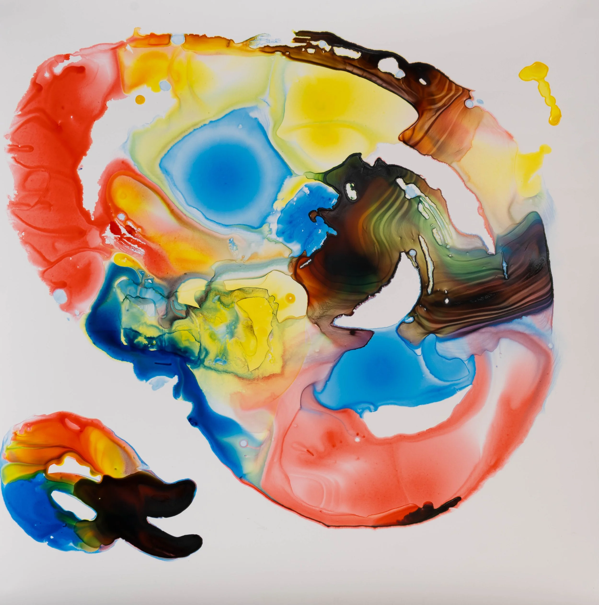 18x18_W_ClamShellSurprise2025_Krutick_InkOnYupo web_900.jpg