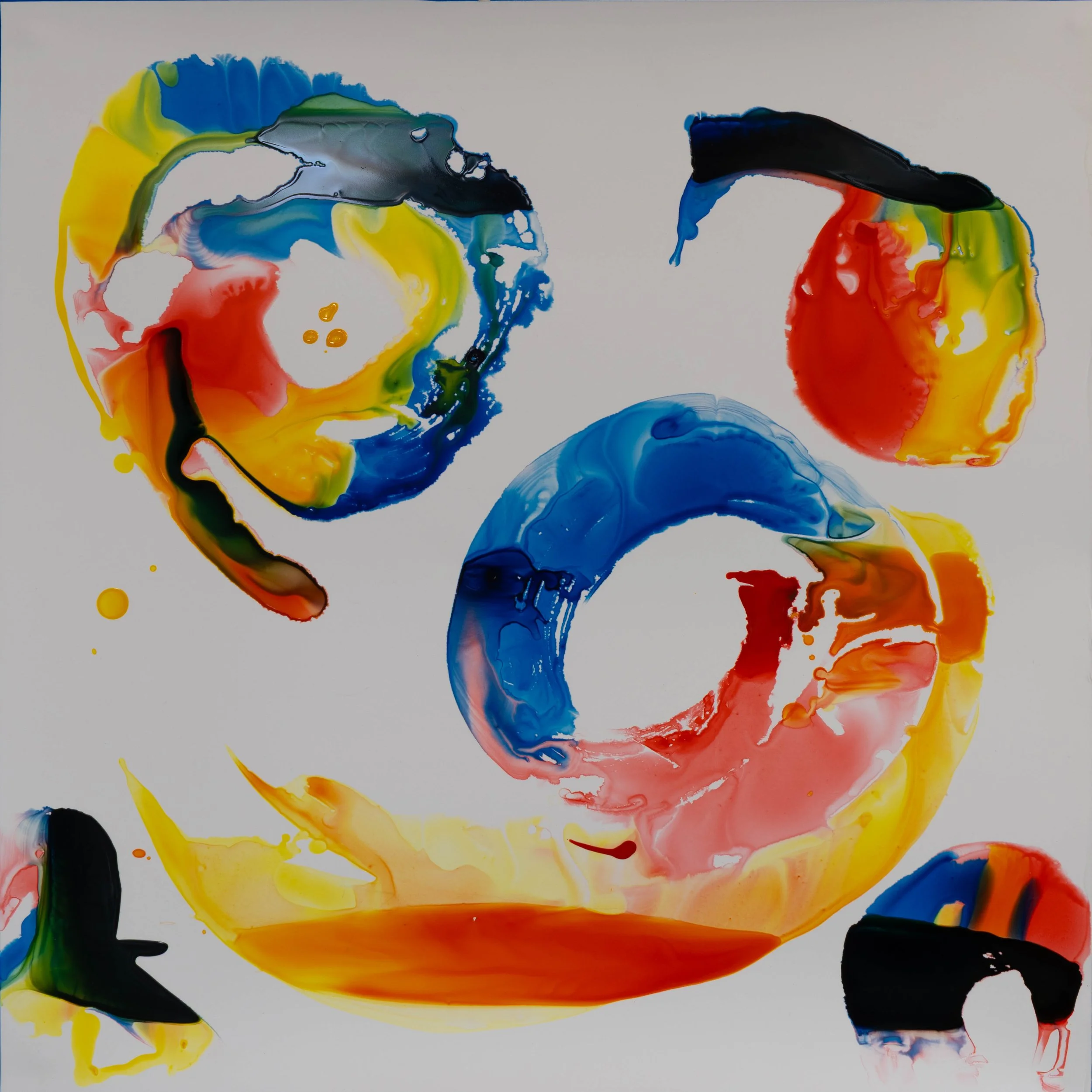 18x18_W_TwirlingShrimp_2025_Krutick_InkOnYupo web_900.jpg