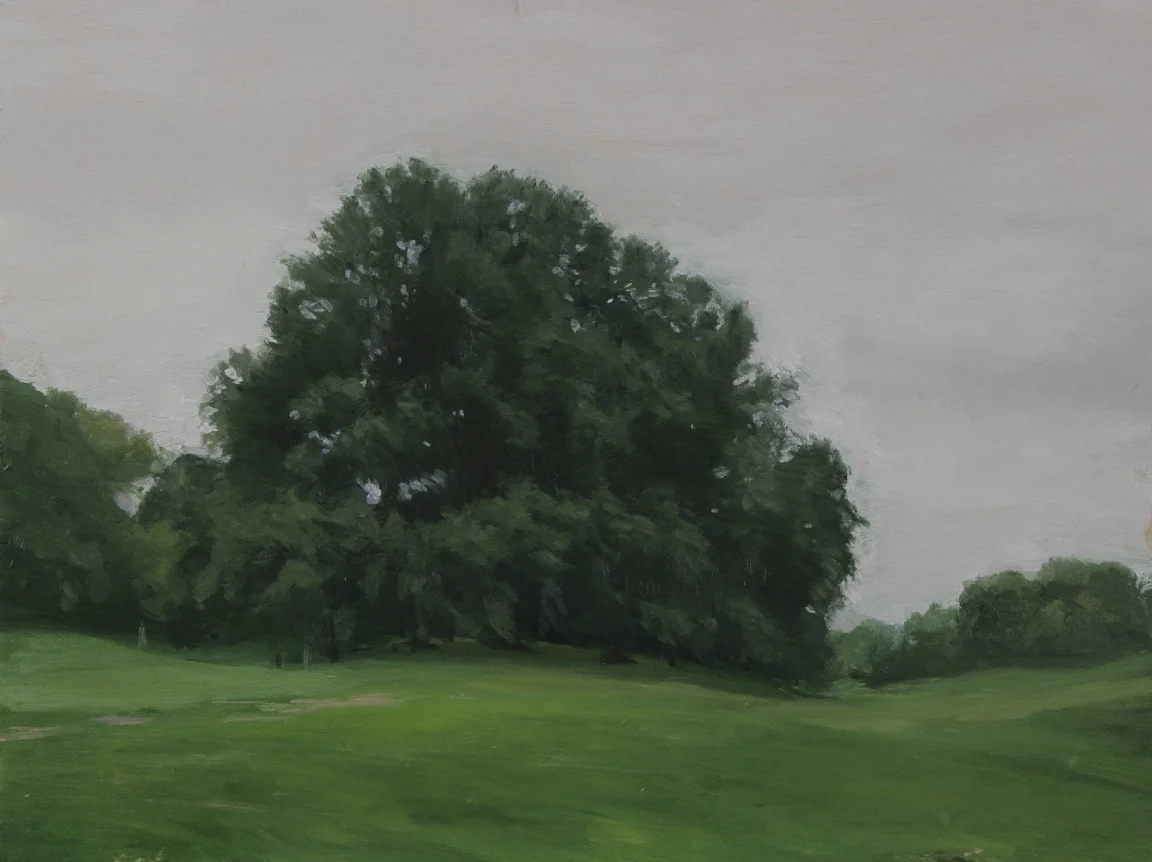 Tree Study, Prospect Park