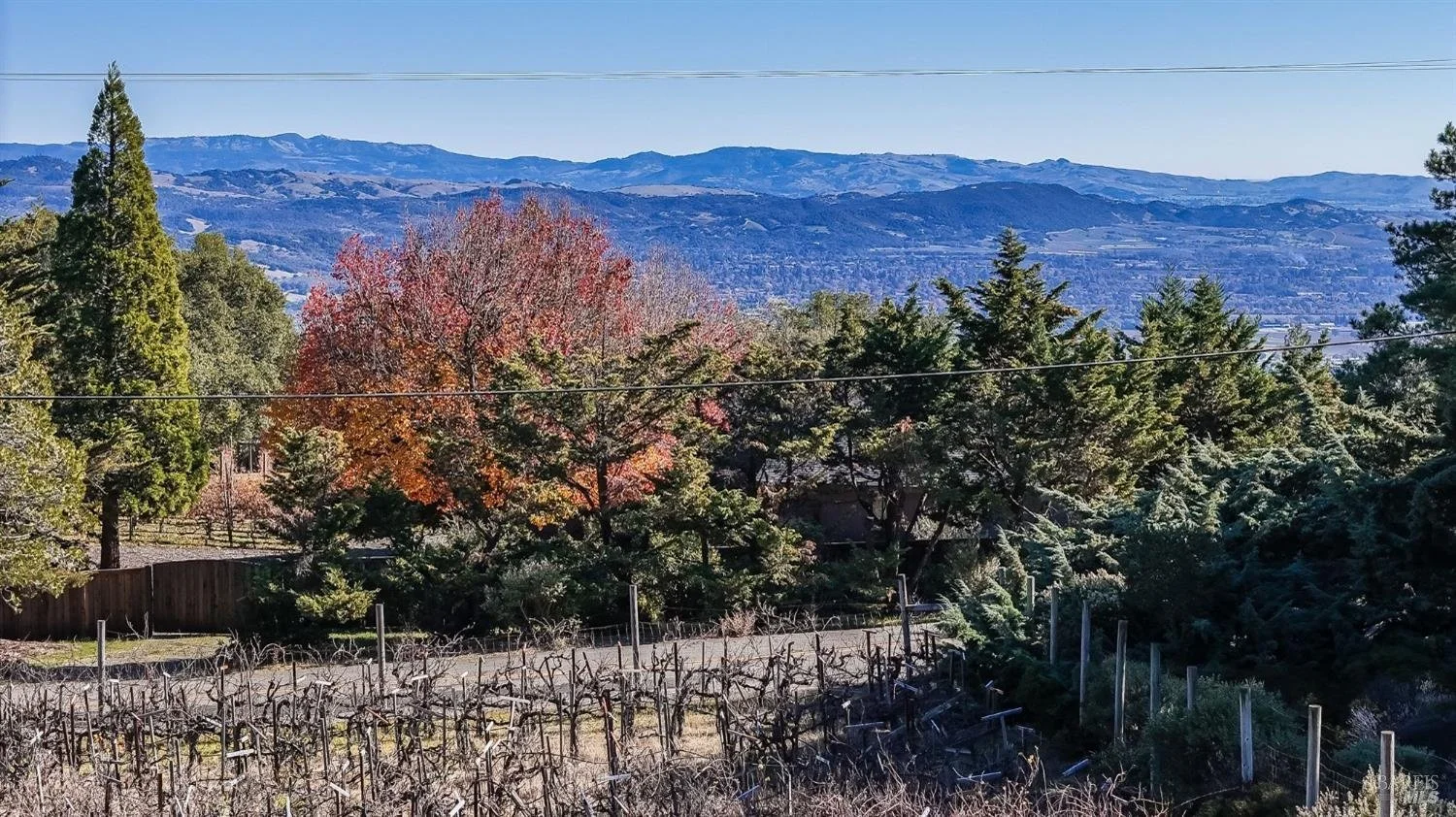 4583 Belmont Ct | Sonoma | 1-21-25