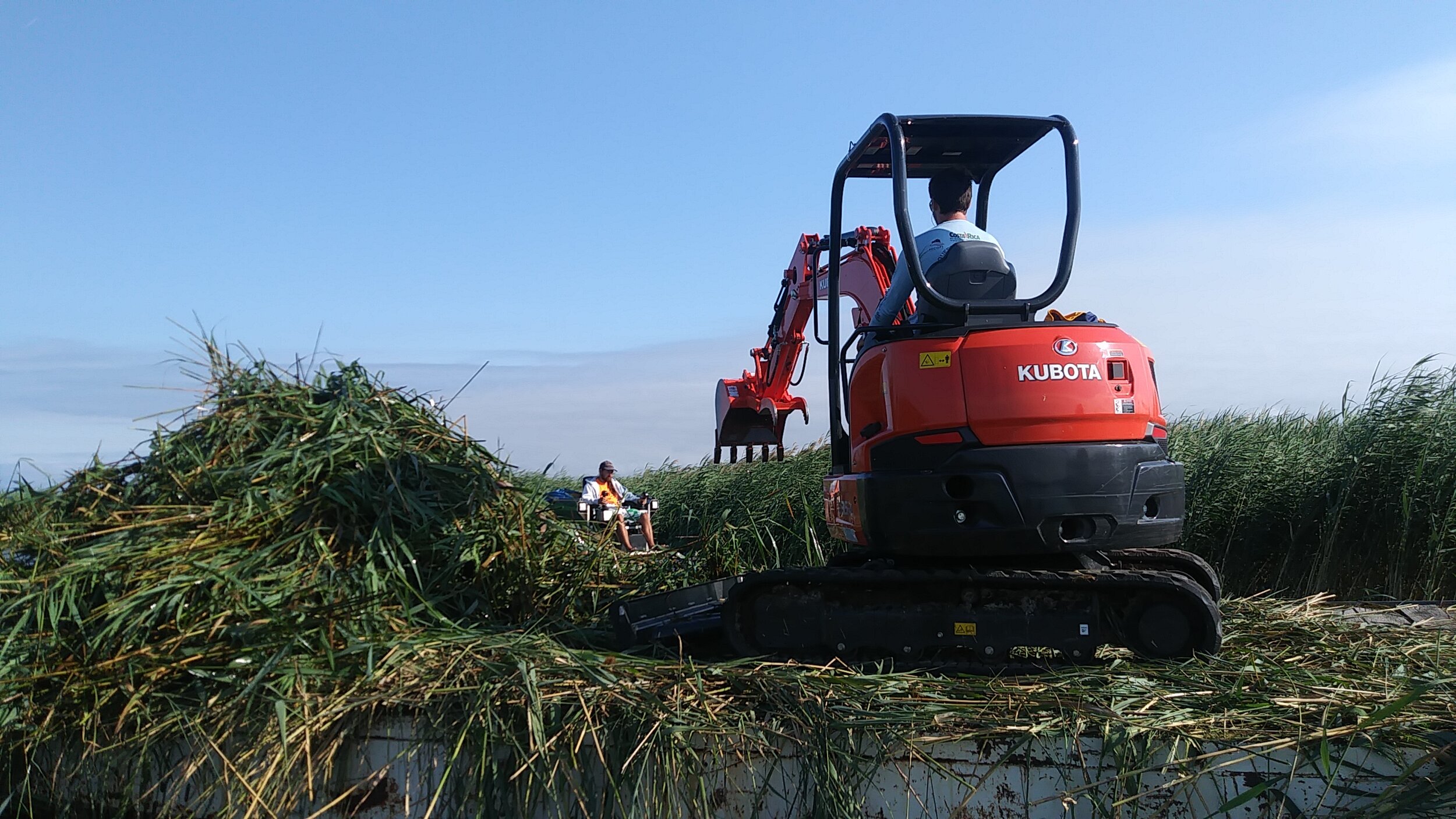 A truxor and the excavator working together to load Phragmites.