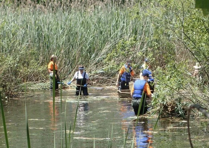 Some people aid the environment by making changes in their personal life, some spread awareness, and some take action by seeking opportunities to be hands-on in their communities. Last week was National Volunteer Week and we&rsquo;d like to bring att