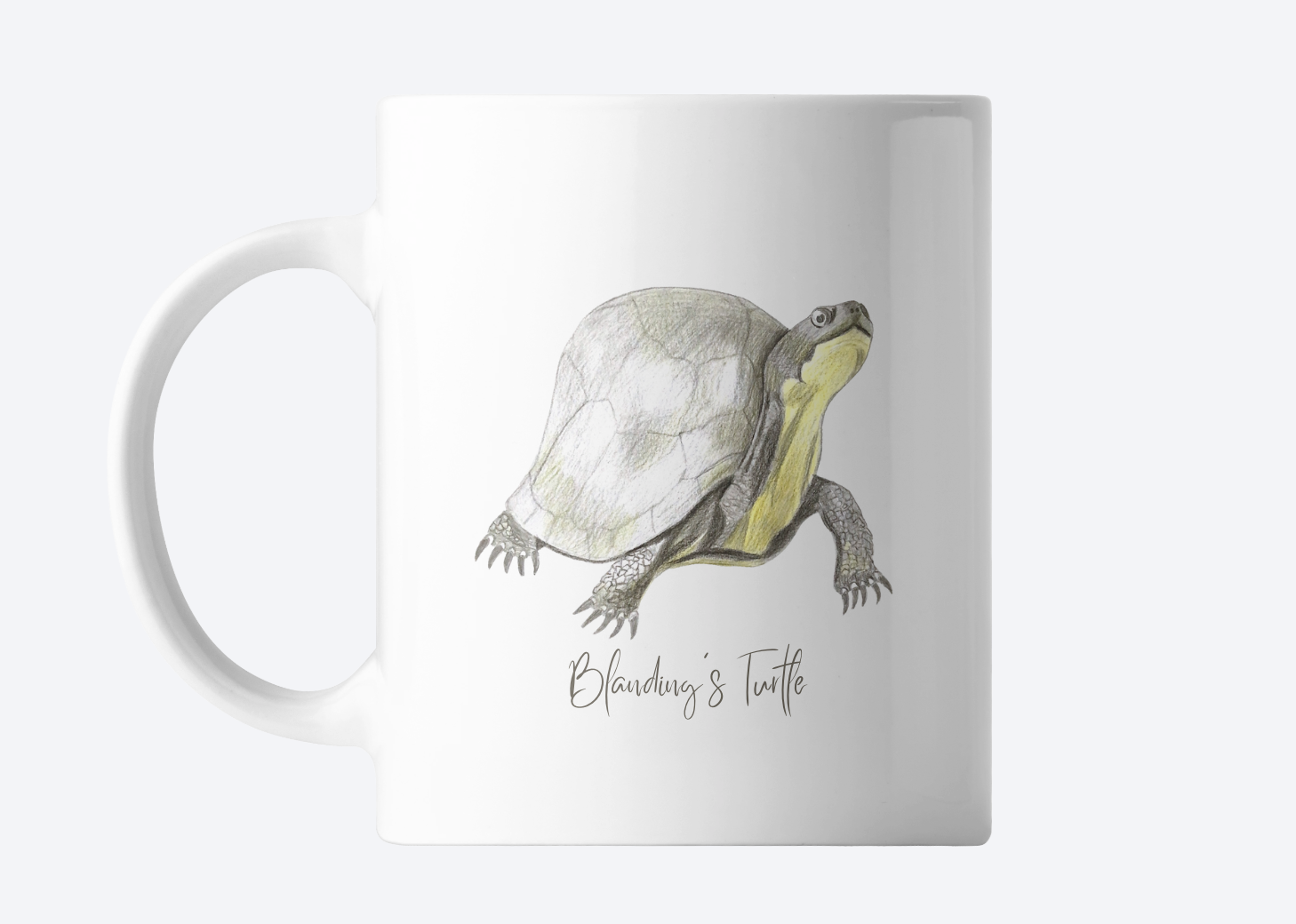blanding's turtle on mug .png