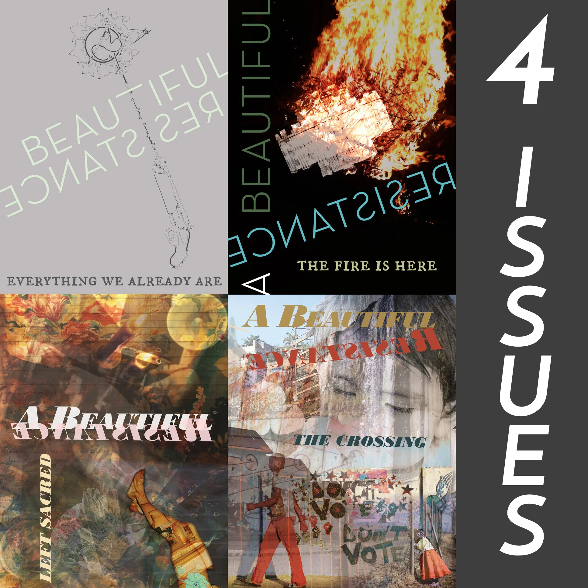 4 issues.jpg