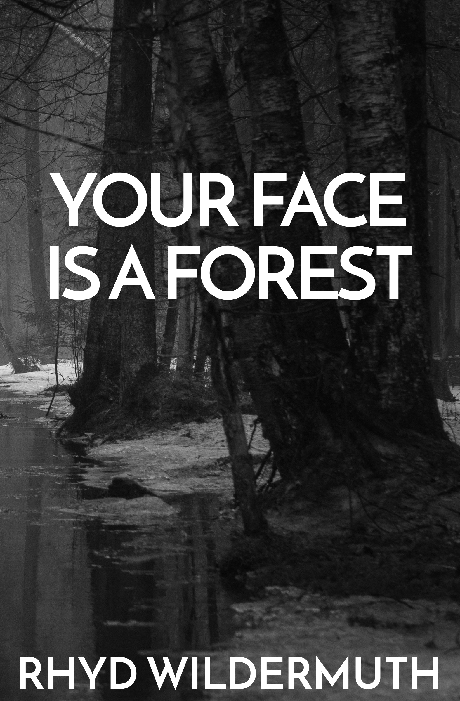 YOUR FACE cover.png