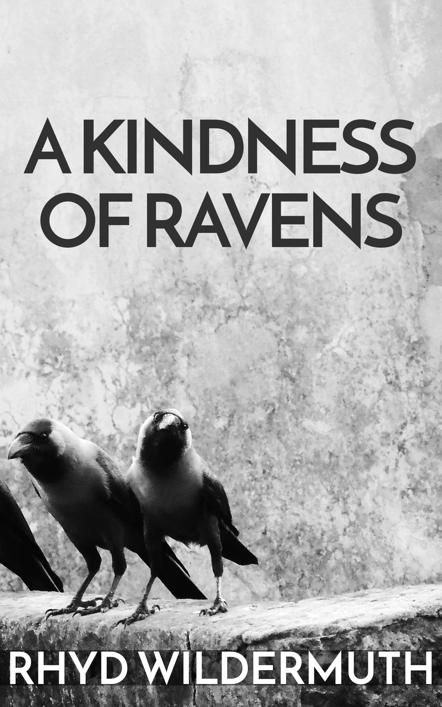 RAVENS COVER.jpg