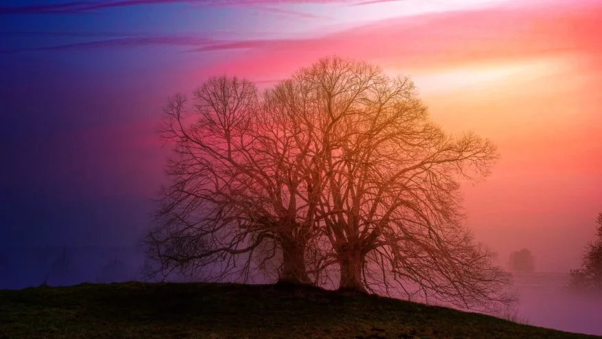 bare-clouds-countryside-1103972.jpg
