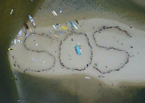 A grassroots action to Save the Lake .
