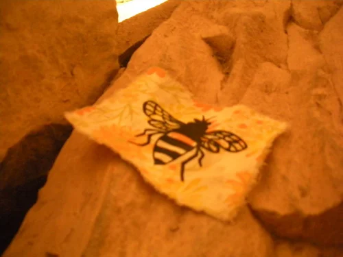 Alley Valkyrie’s bee patch within Newgrange
