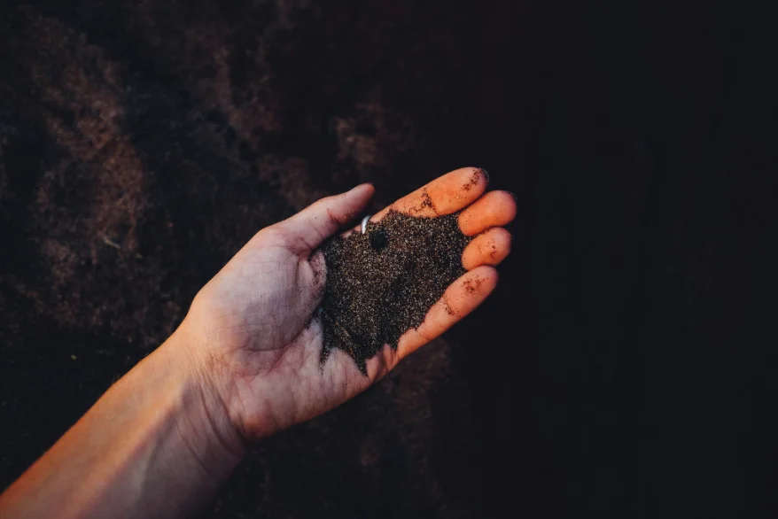 paula-may-566498-unsplash.Photo by Paula May on Unsplash