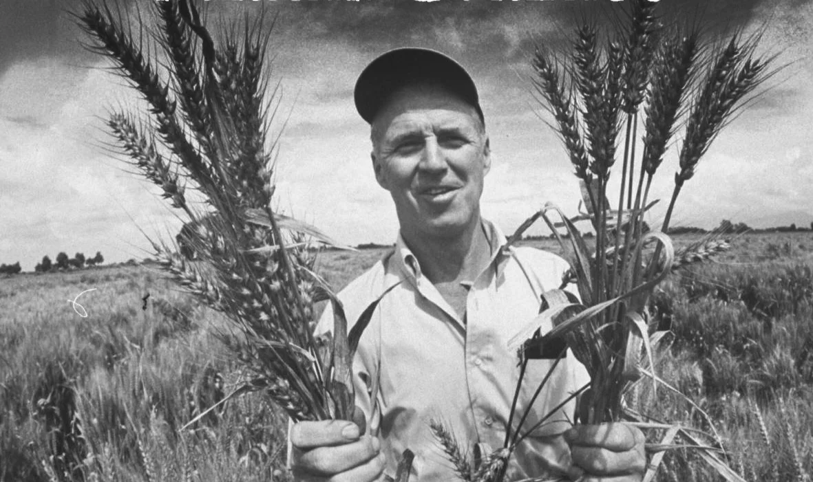 Norman Borlaug, the “Wizard”