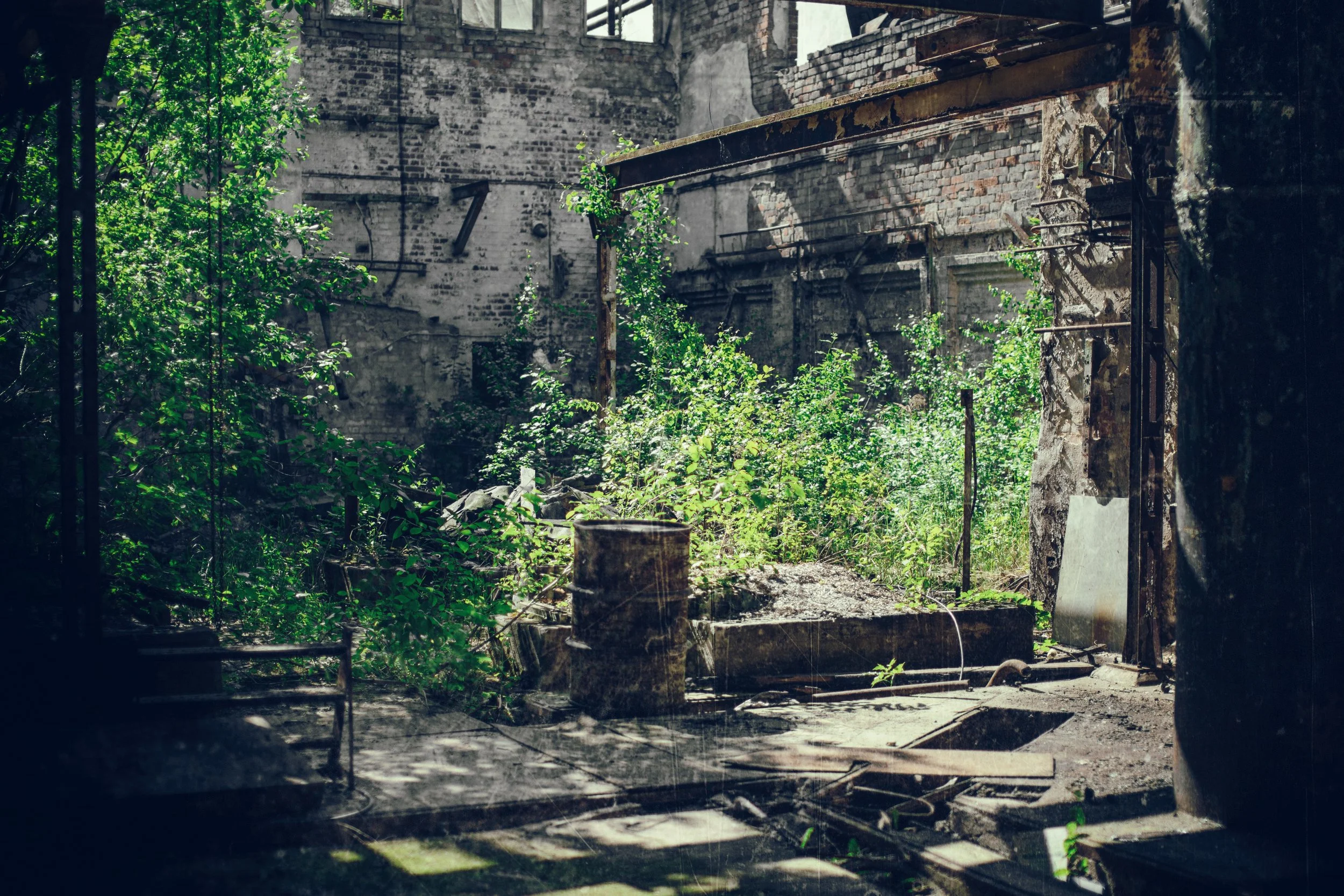 Image by Denny Muller