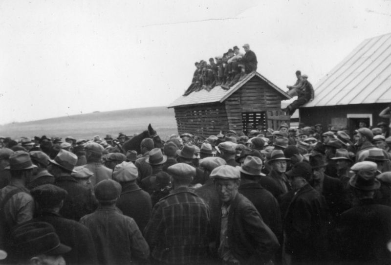 Hundreds of farmers gathered for a “penny auction." During penny auctions, farmers organized together to bid pennies for foreclosed farms and intimidate urban and foreign investors from bidding higher (sometimes hanging nooses or carrying around guns as a show of potential violence). The point was to allow the farmer who'd lost their land to the bank to buy it back in the auction