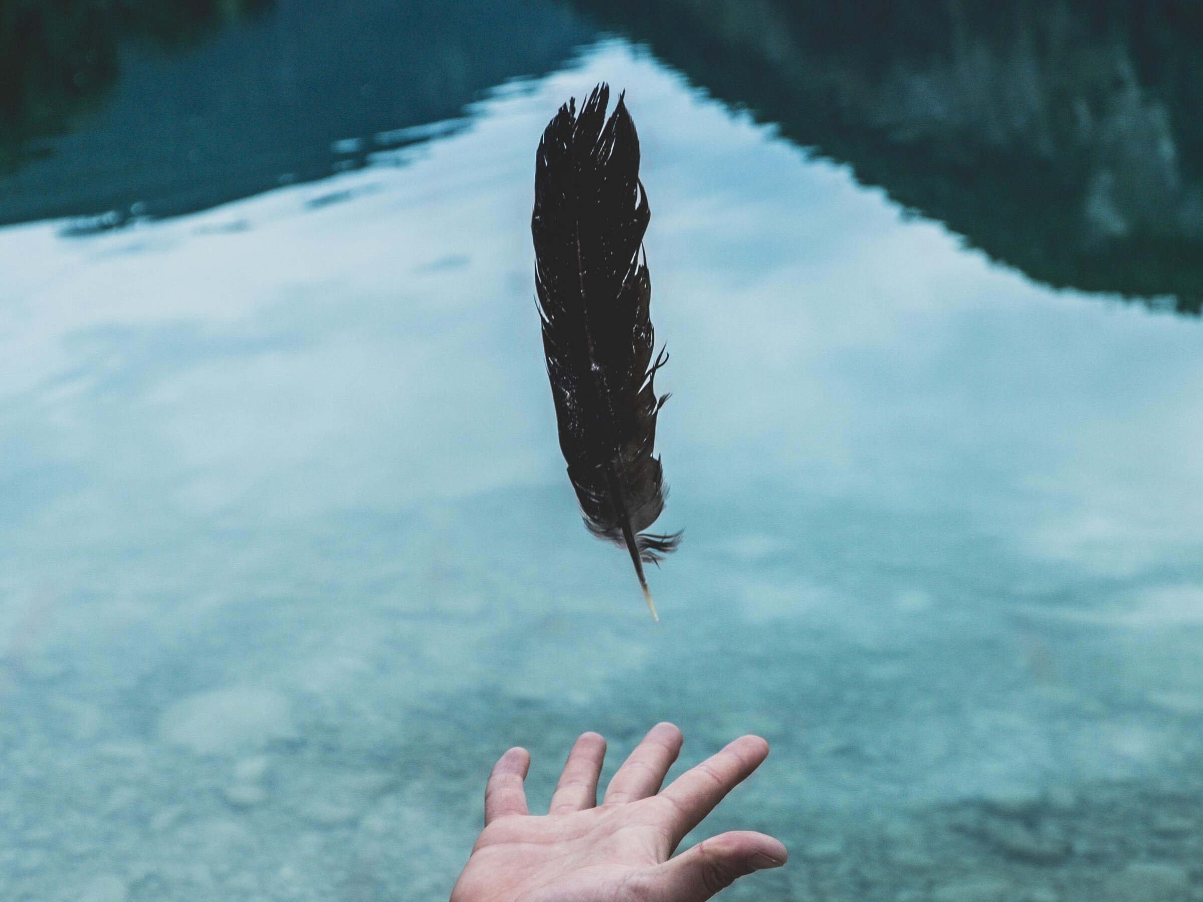  Magical Defense Against Internet Harassment: A short overview