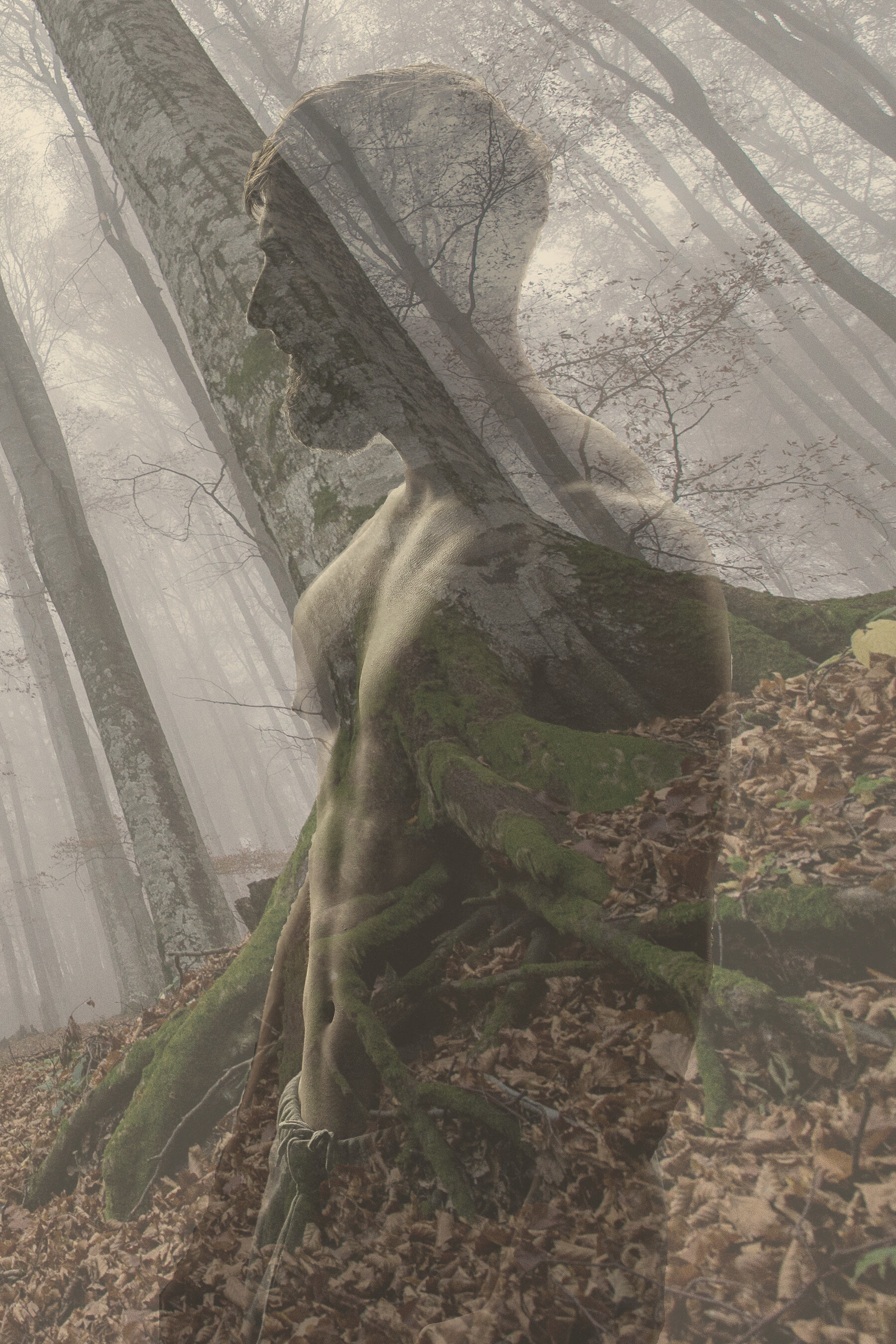 Our First Fiction release: The Provisioner, by Rhyd Wildermuth