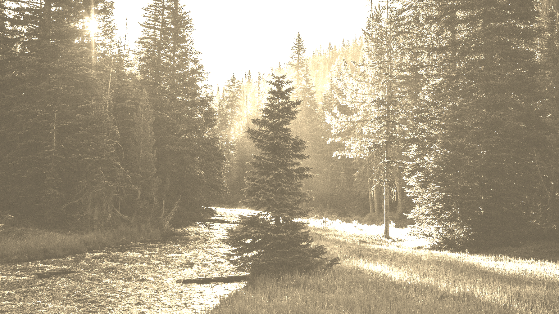 Announcing: Another World, our exclusive supporters' journal