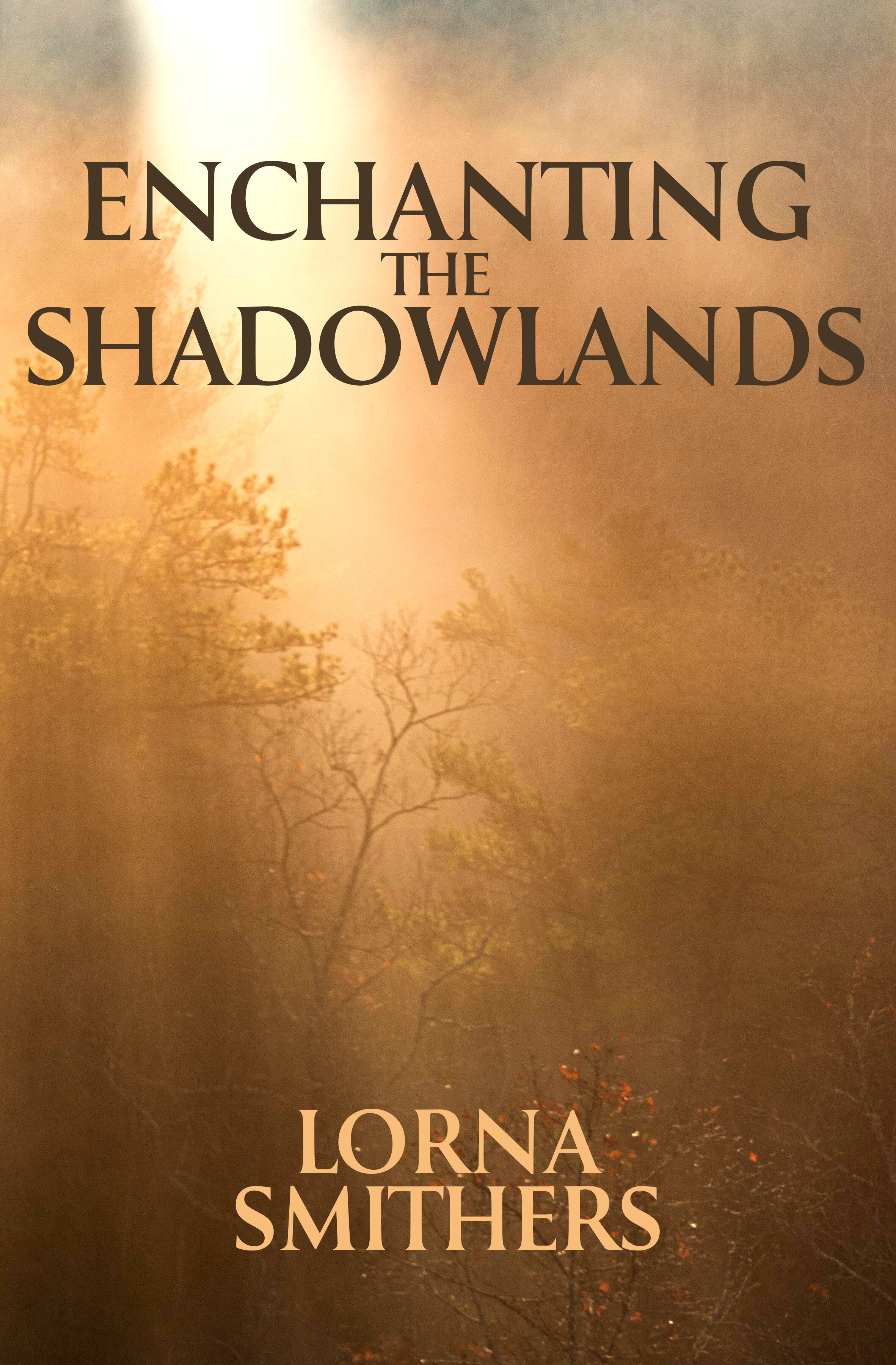 enchanting cover.jpg