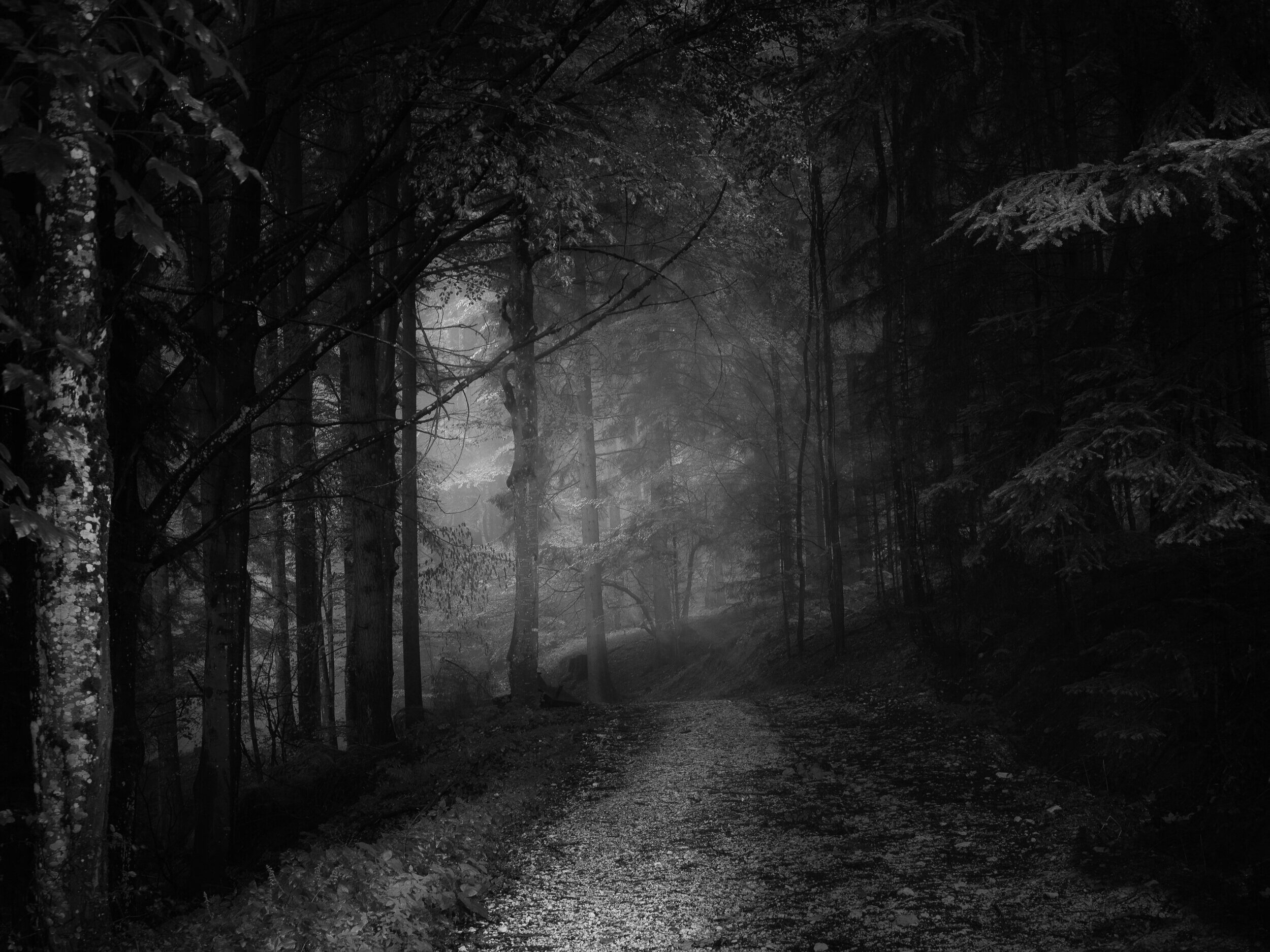 The Pagan Music List 9: Sigur Rós, Trobar de Morte, Myrkur 