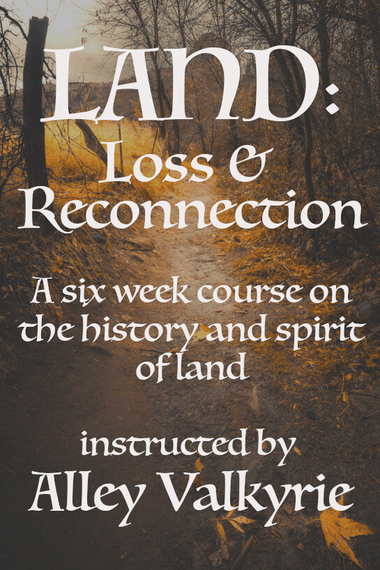 COURSE: Land--Loss and Reconnection, with Alley Valkyrie (NOV-DEC 2023)