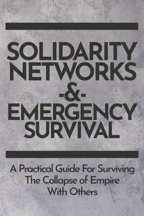 Solidarity cover.png