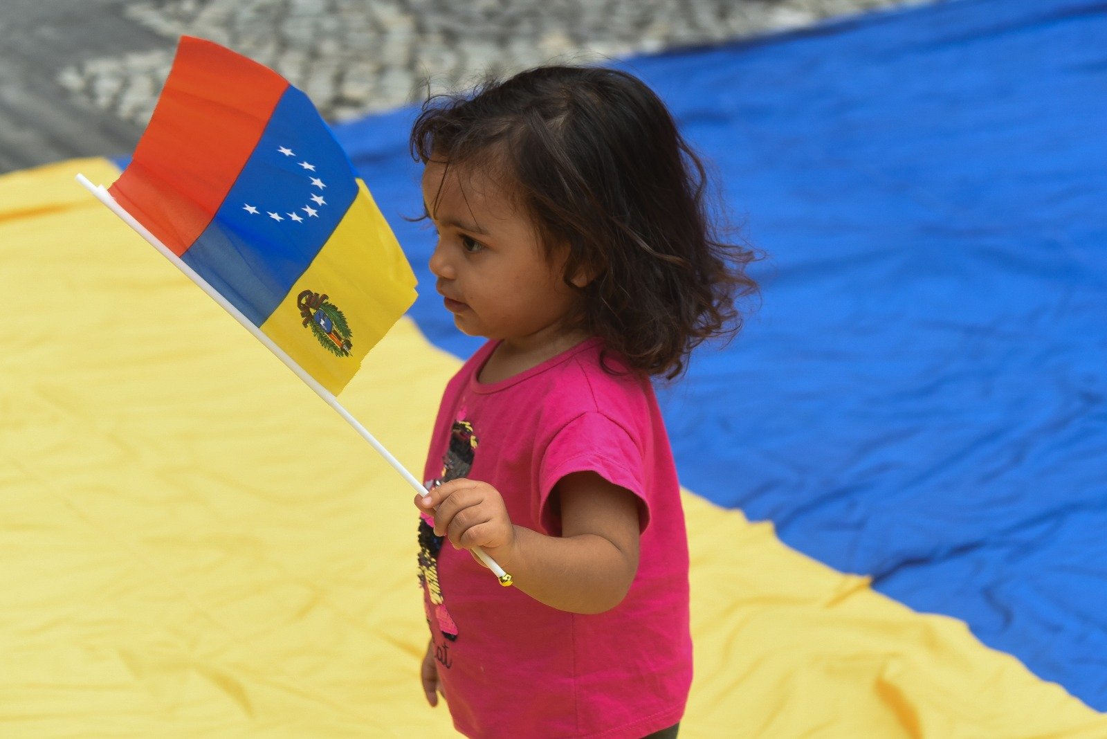 Fabio Teixeira 2026-01-05 at 21.53.11Rio de Janeiro Protest.jpeg